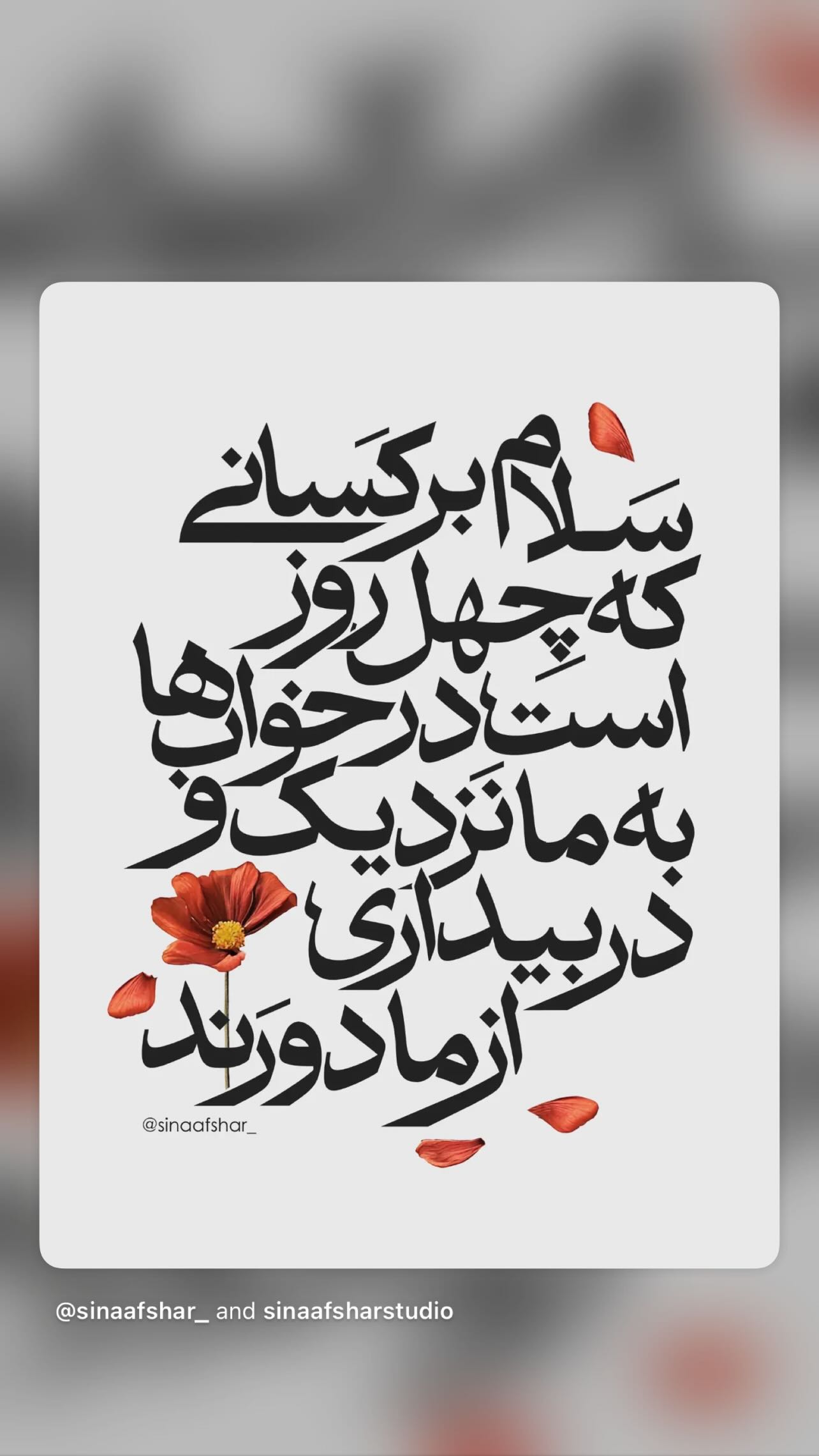  جدید ترین استوری اینستاگرام شیوا مکی نیان