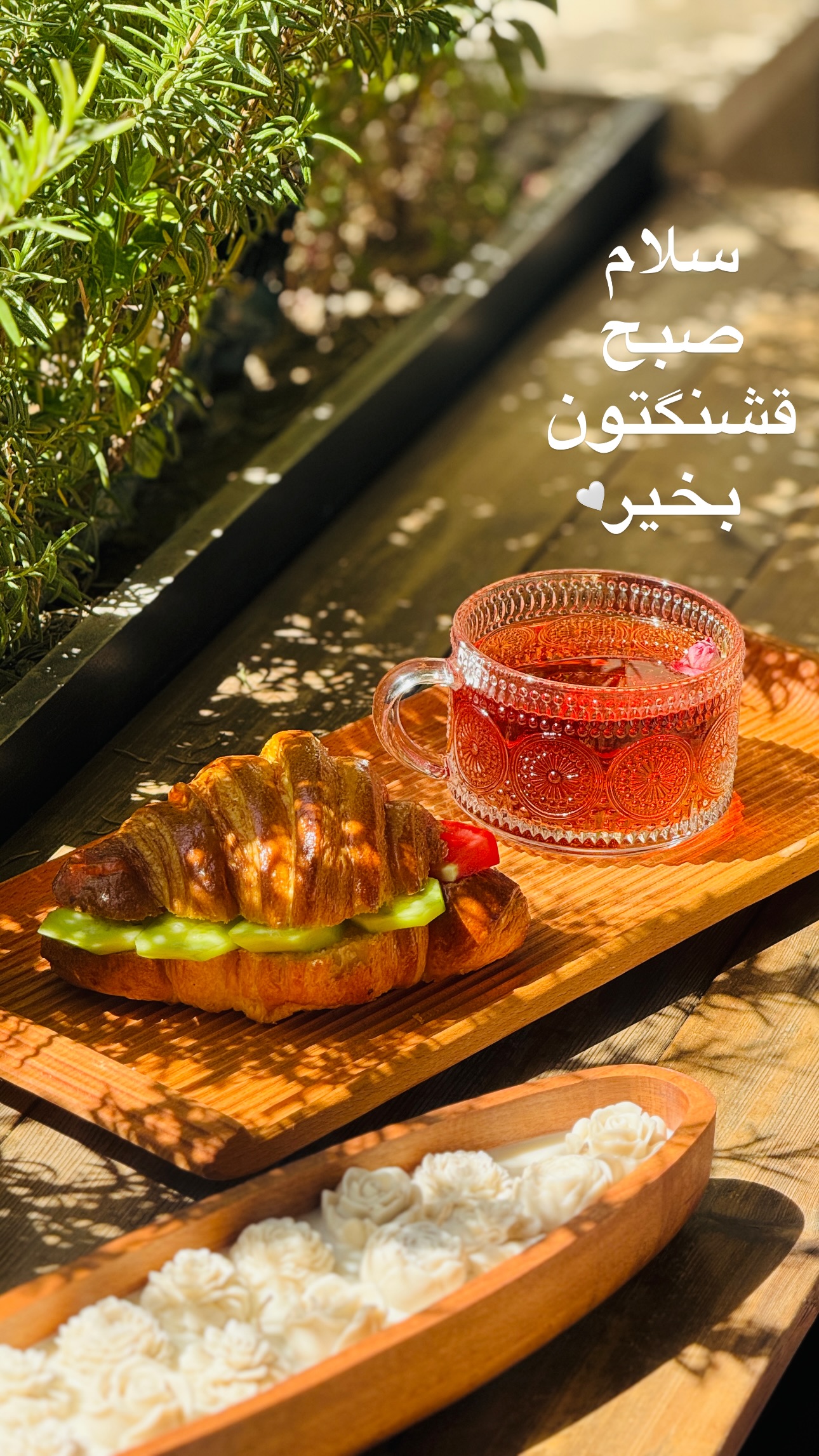  جدید ترین استوری اینستاگرام شیوا نصرتی