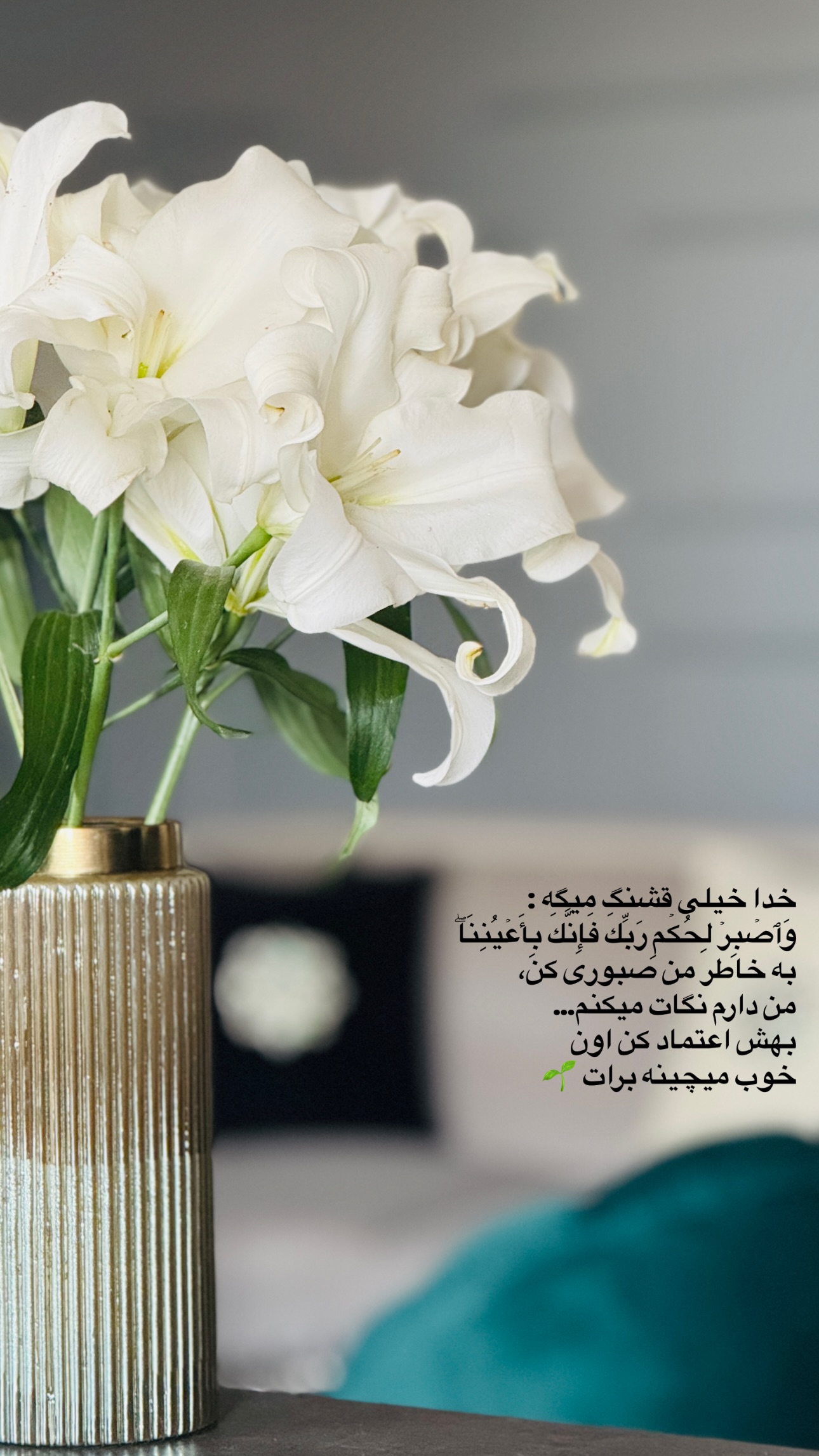  جدید ترین استوری اینستاگرام شیوا نصرتی