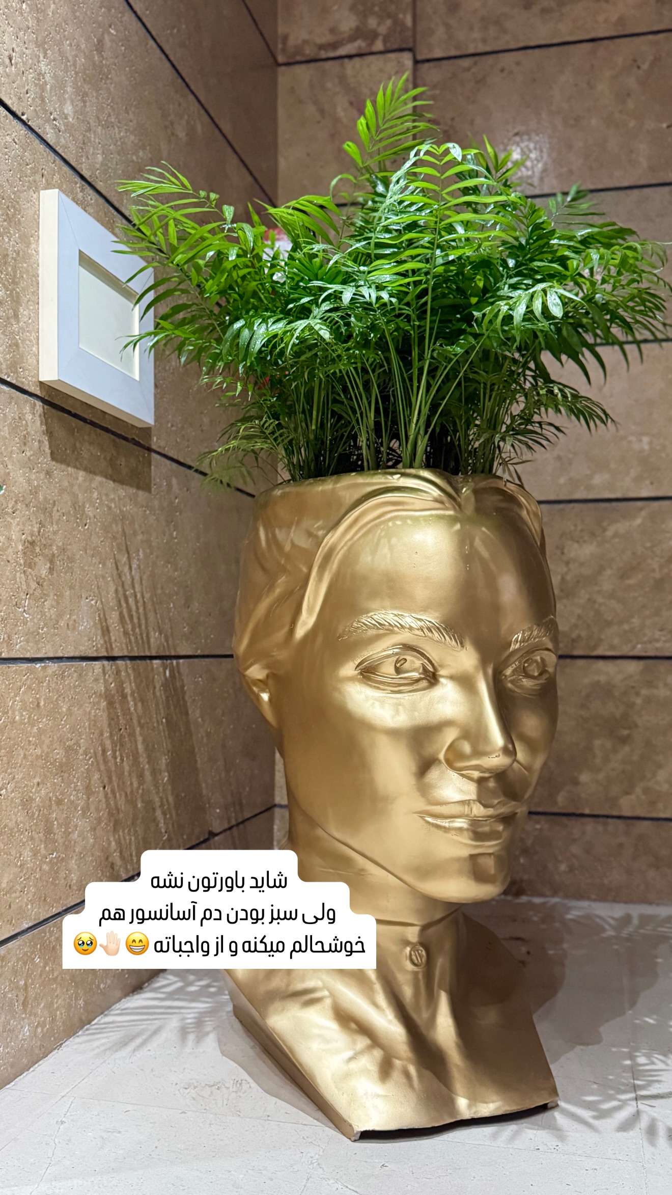 جدید ترین استوری اینستاگرام شیوا نصرتی
