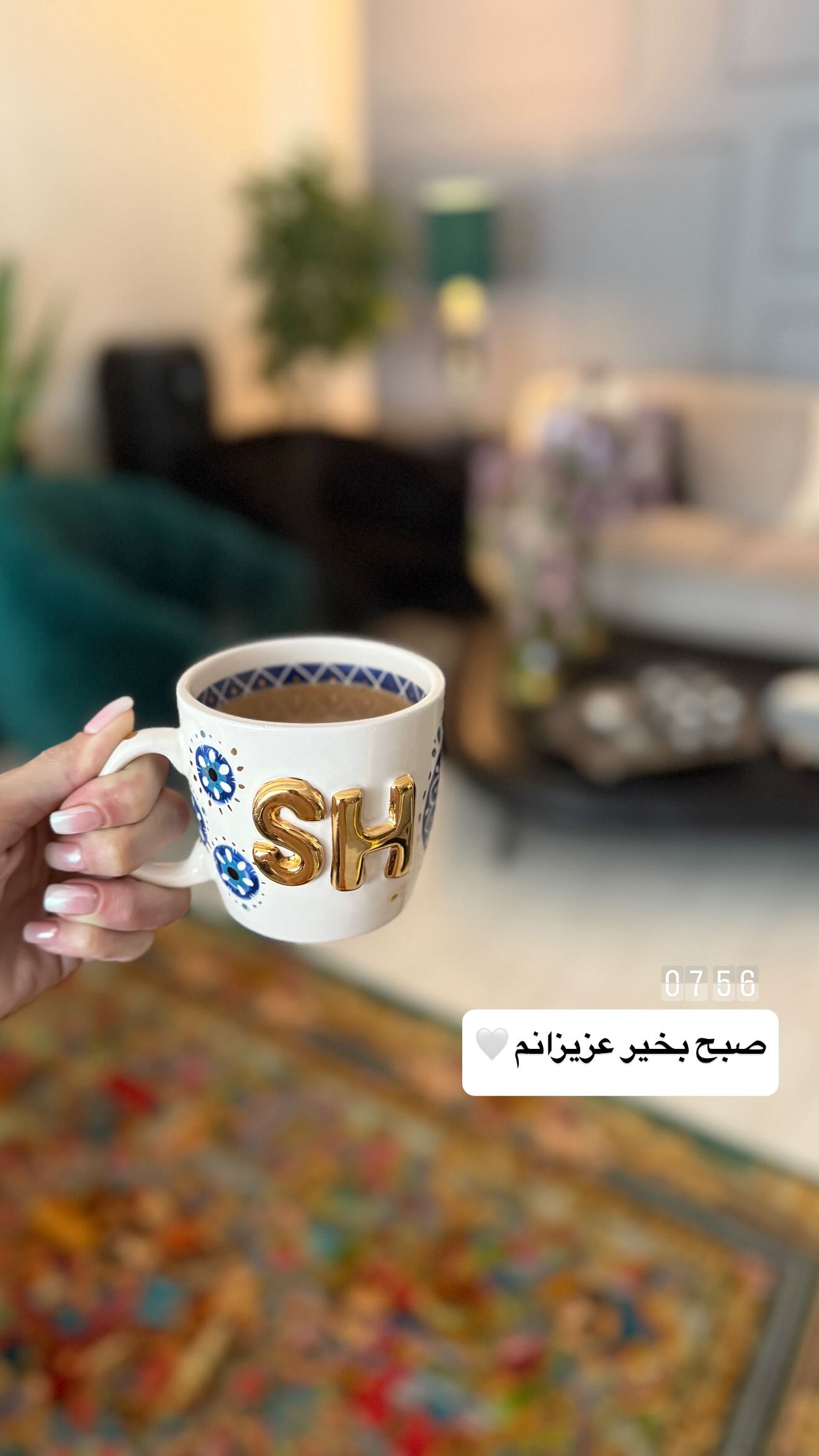  جدید ترین استوری اینستاگرام شیوا نصرتی