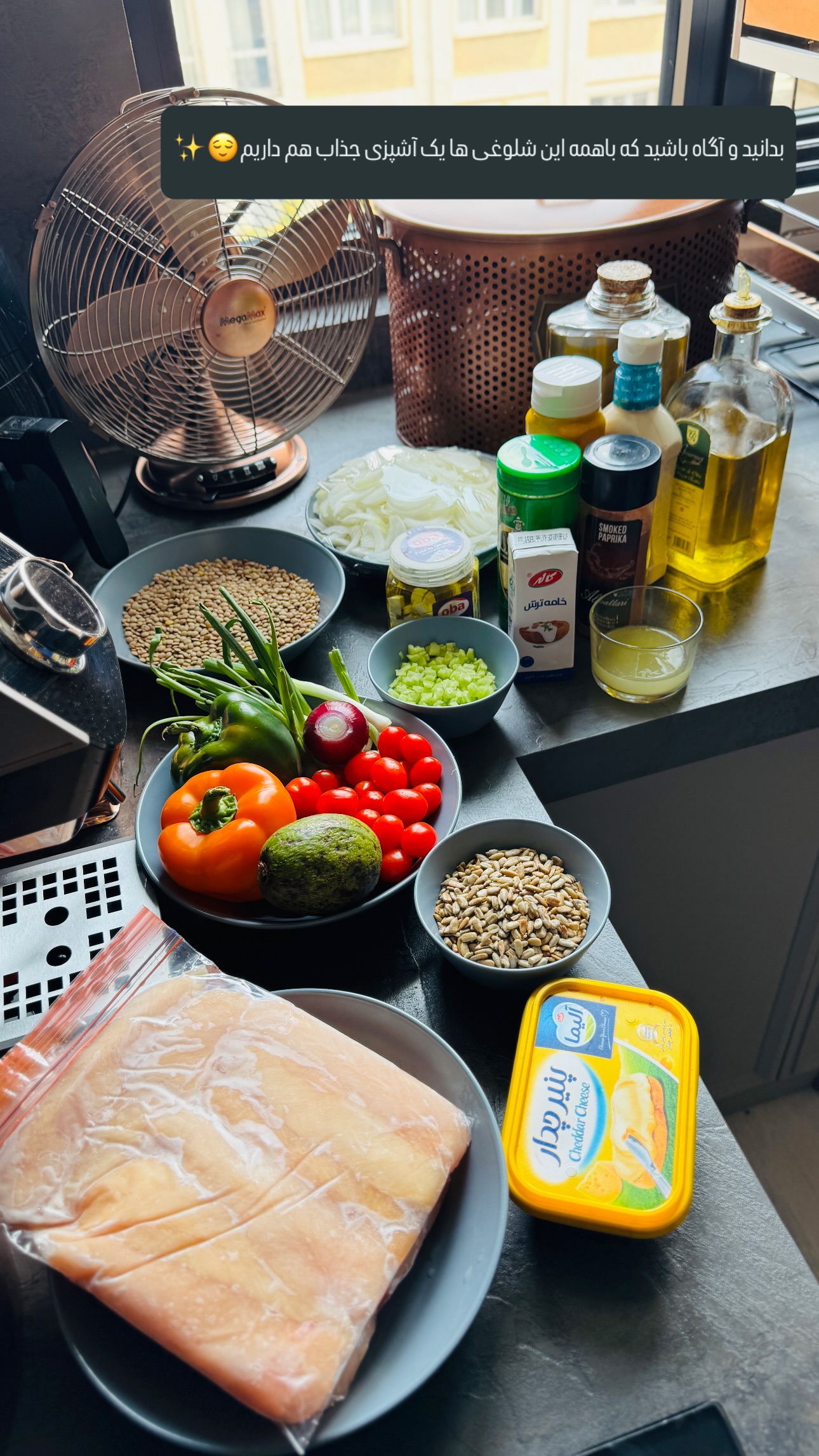  جدید ترین استوری اینستاگرام شیوا نصرتی