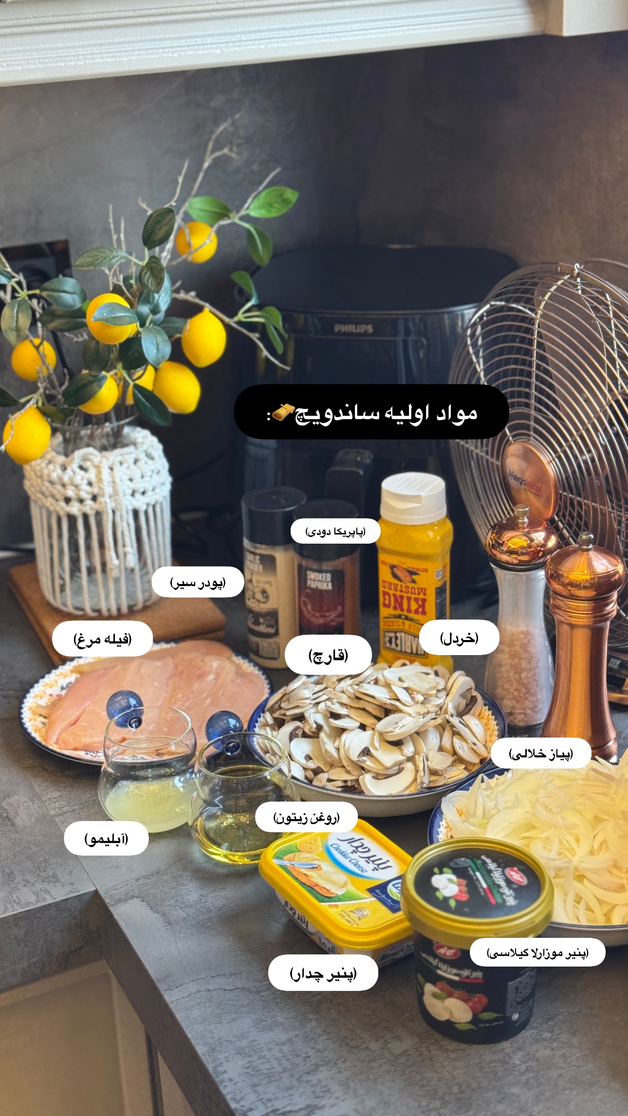  جدید ترین استوری اینستاگرام شیوا نصرتی