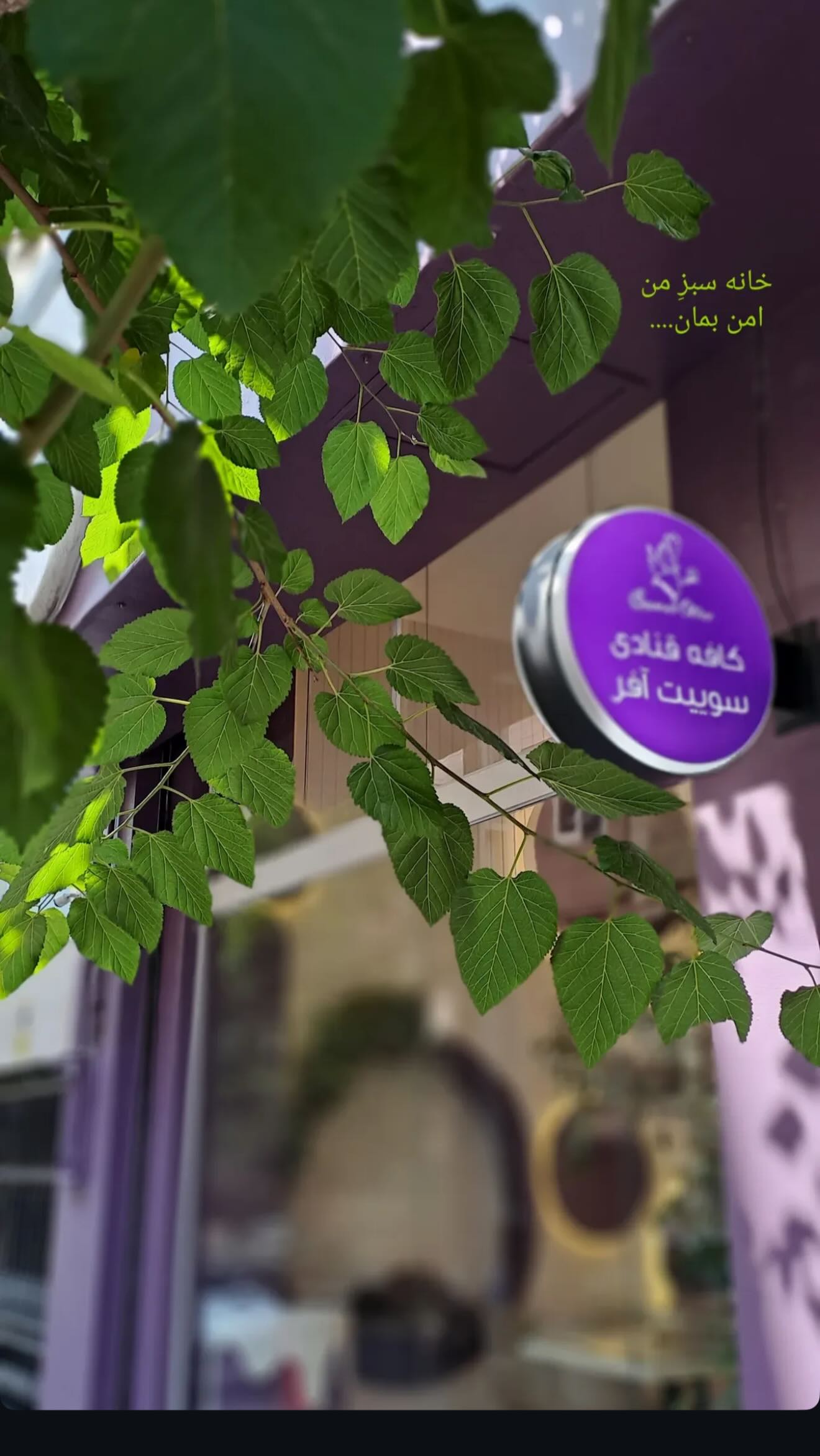  جدید ترین استوری اینستاگرام شیوا نصرتی