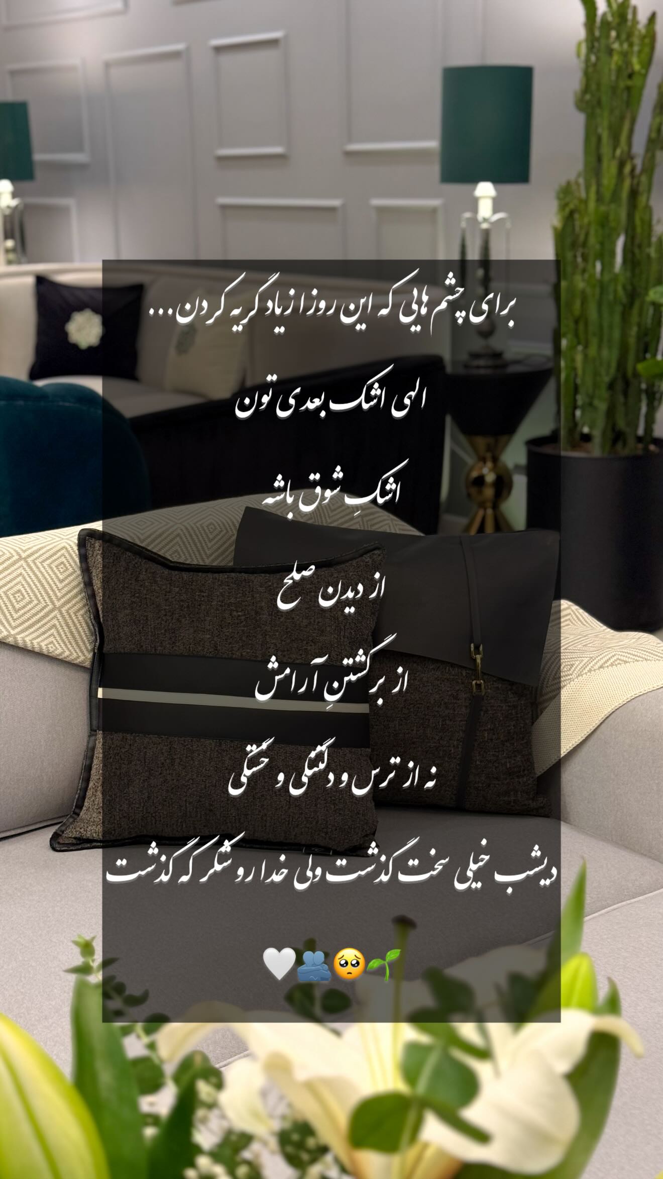  جدید ترین استوری اینستاگرام شیوا نصرتی