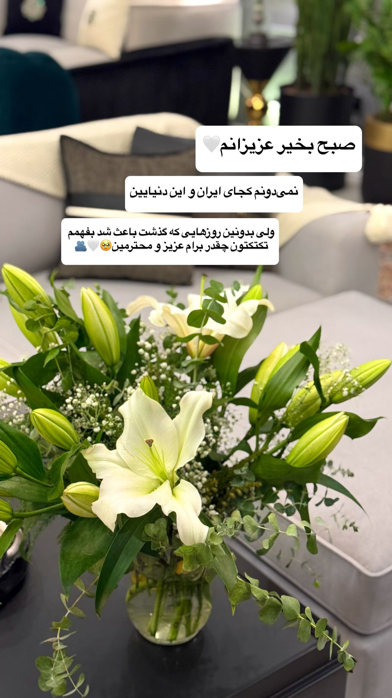  جدید ترین استوری اینستاگرام شیوا نصرتی