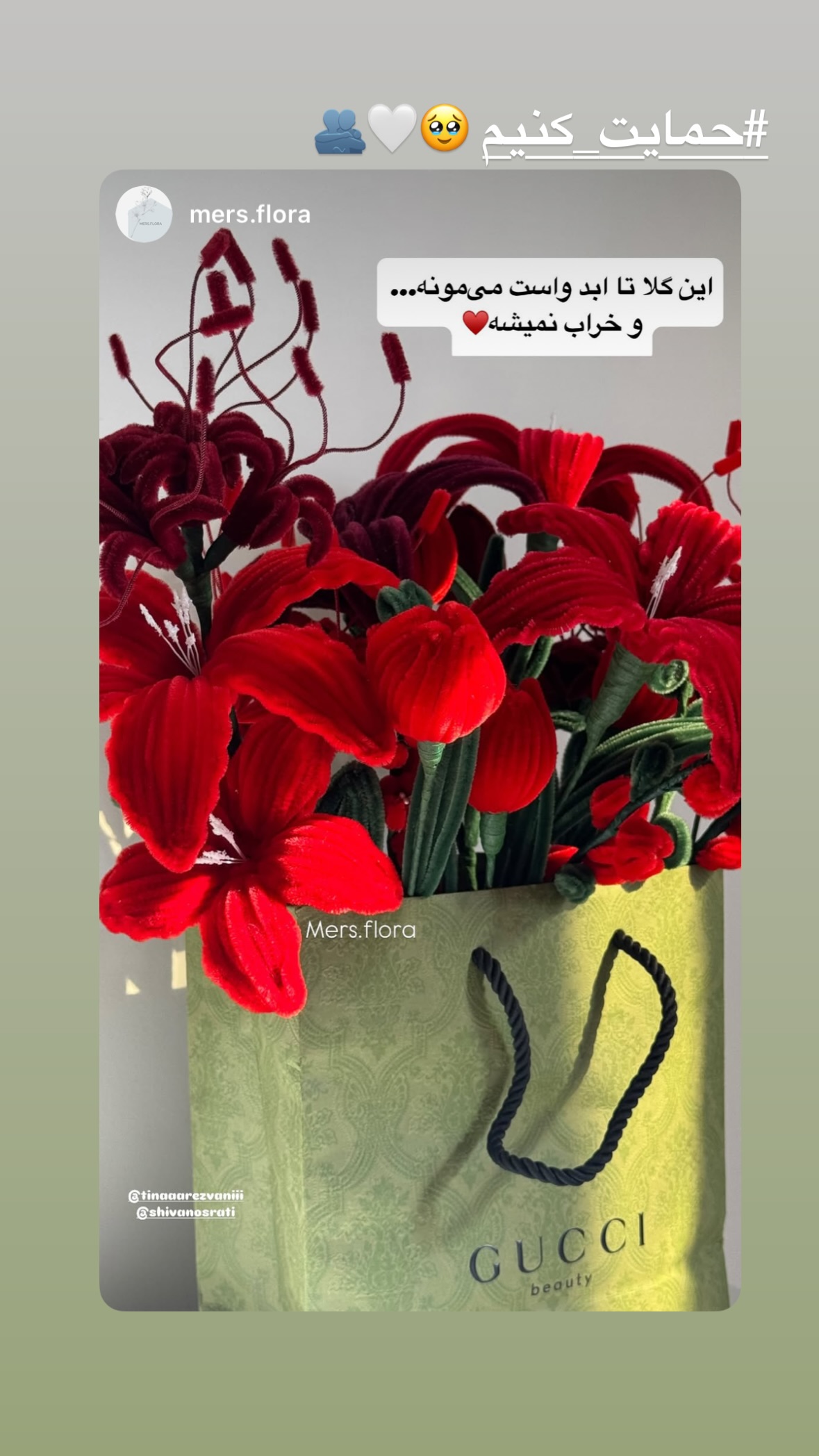  جدید ترین استوری اینستاگرام شیوا نصرتی
