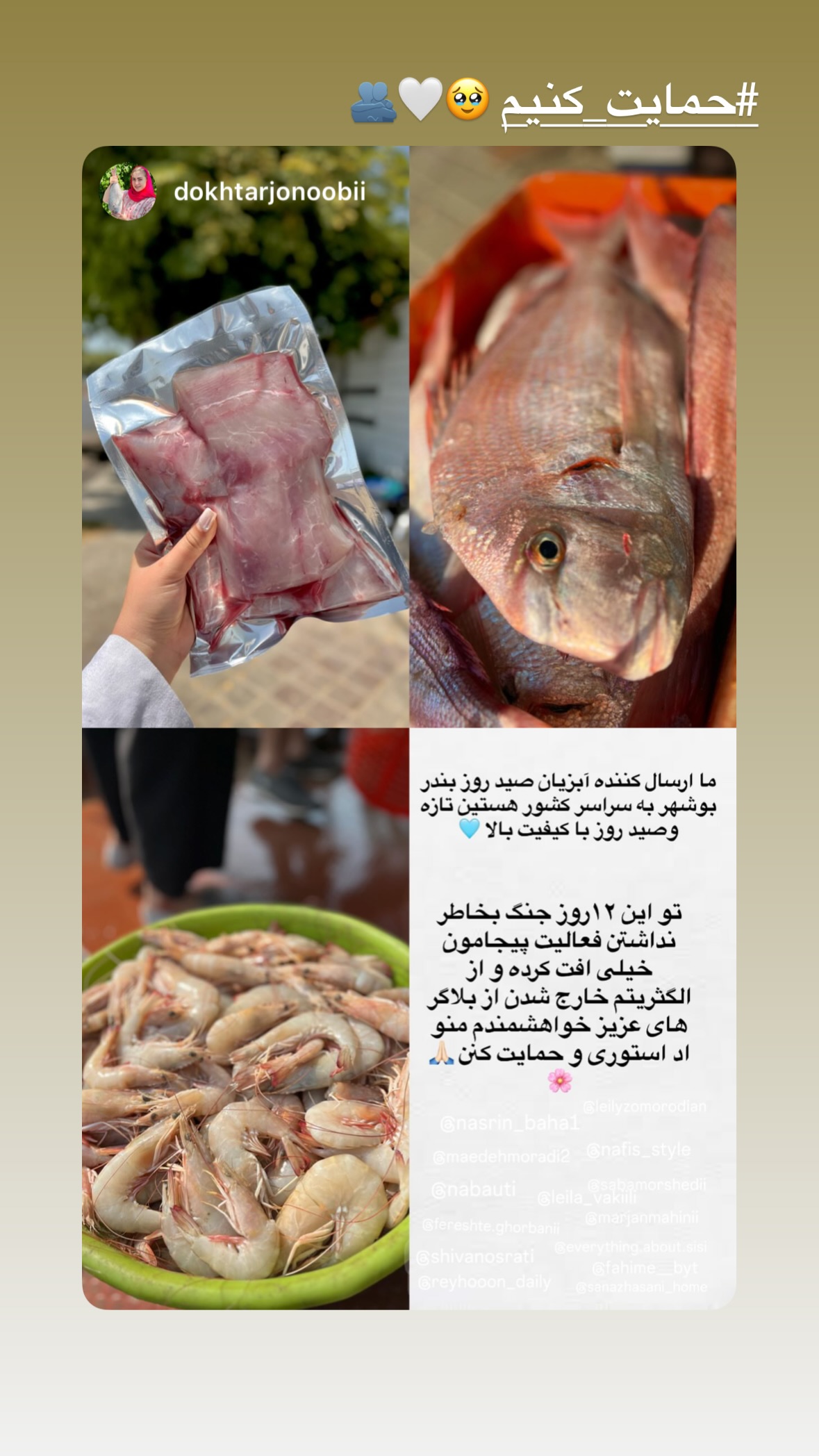  جدید ترین استوری اینستاگرام شیوا نصرتی