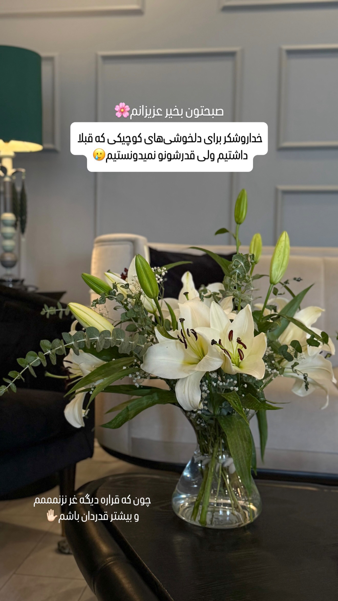  جدید ترین استوری اینستاگرام شیوا نصرتی