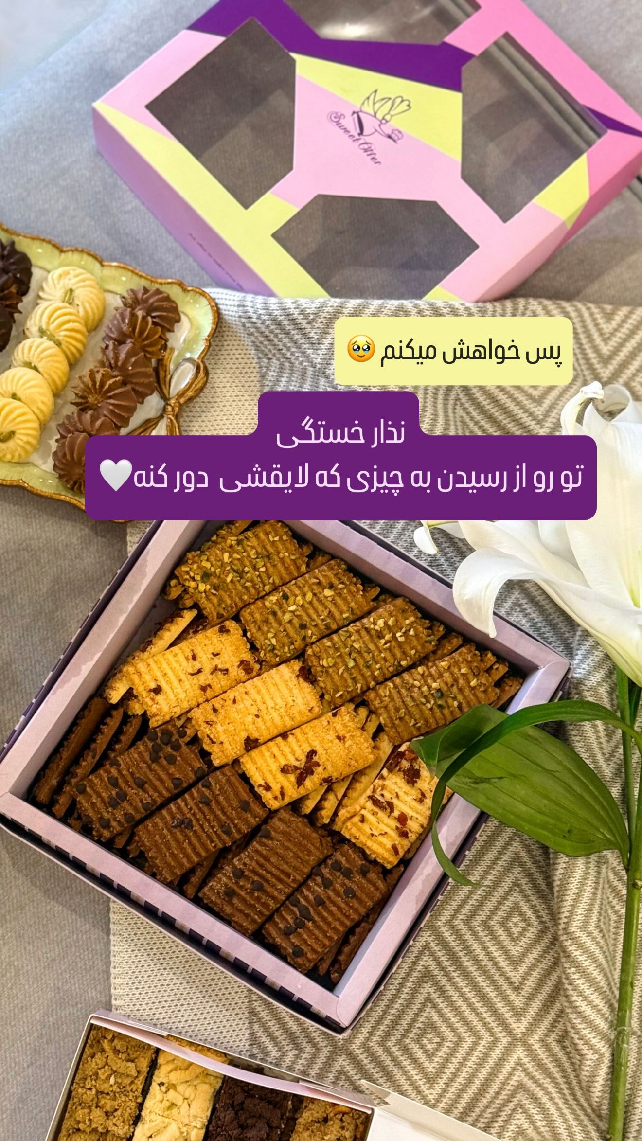  جدید ترین استوری اینستاگرام شیوا نصرتی