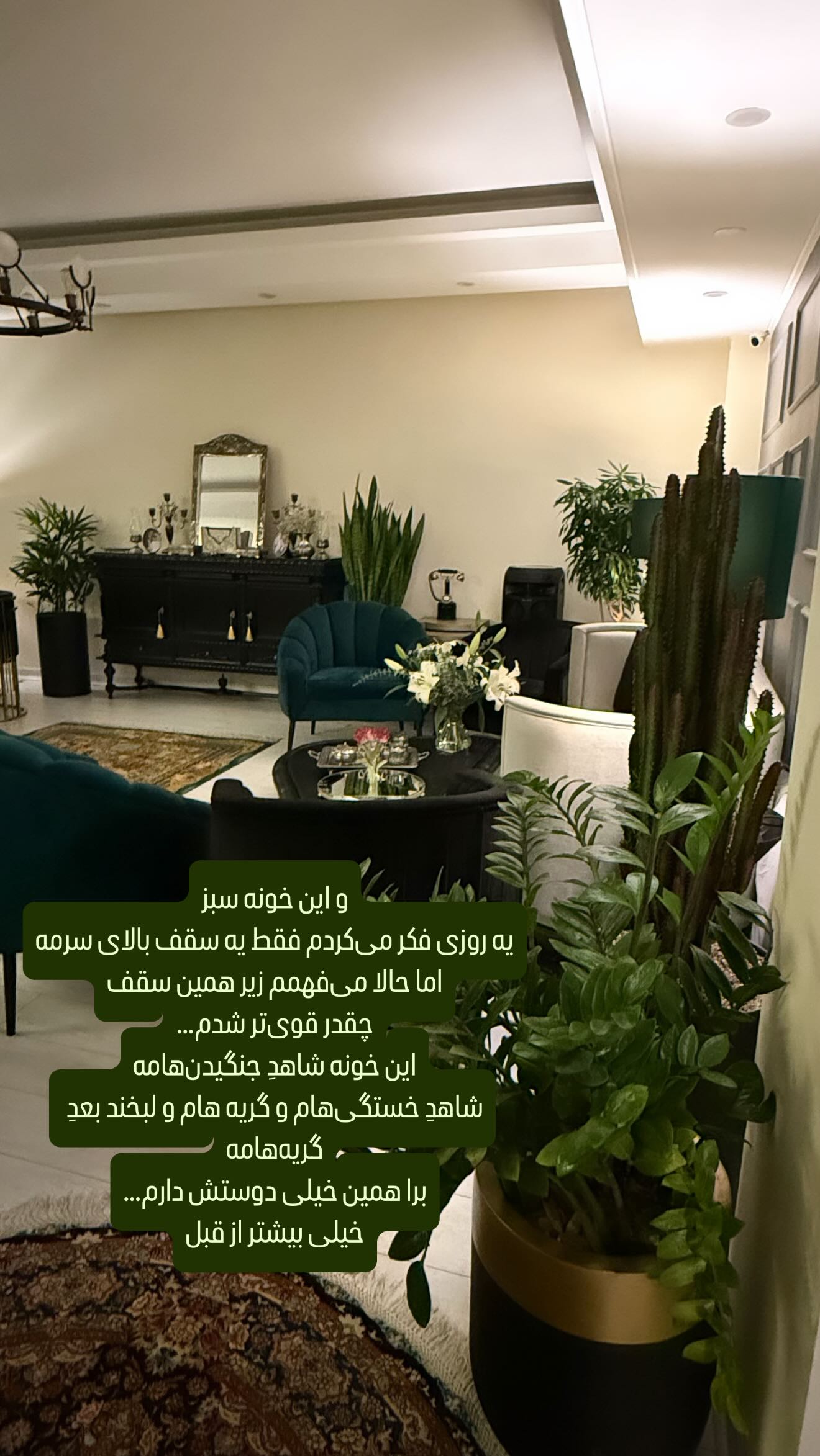  جدید ترین استوری اینستاگرام شیوا نصرتی