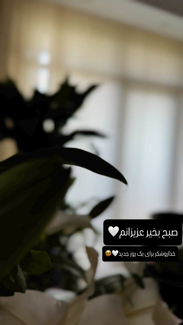  جدید ترین استوری اینستاگرام شیوا نصرتی