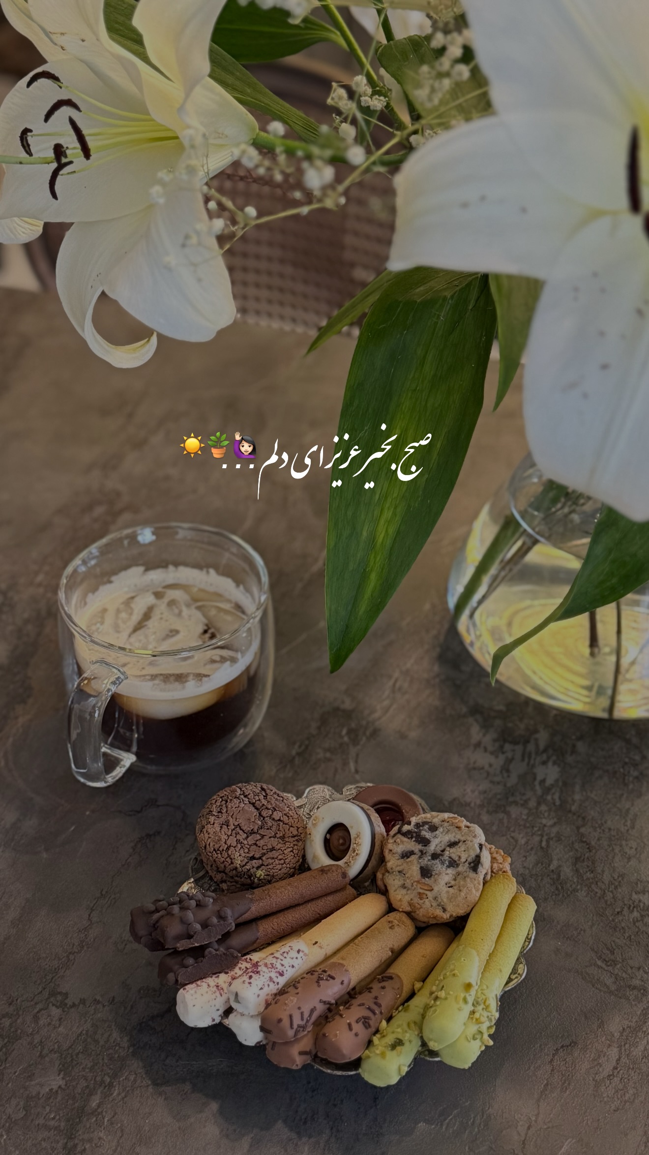  جدید ترین استوری اینستاگرام شیوا نصرتی