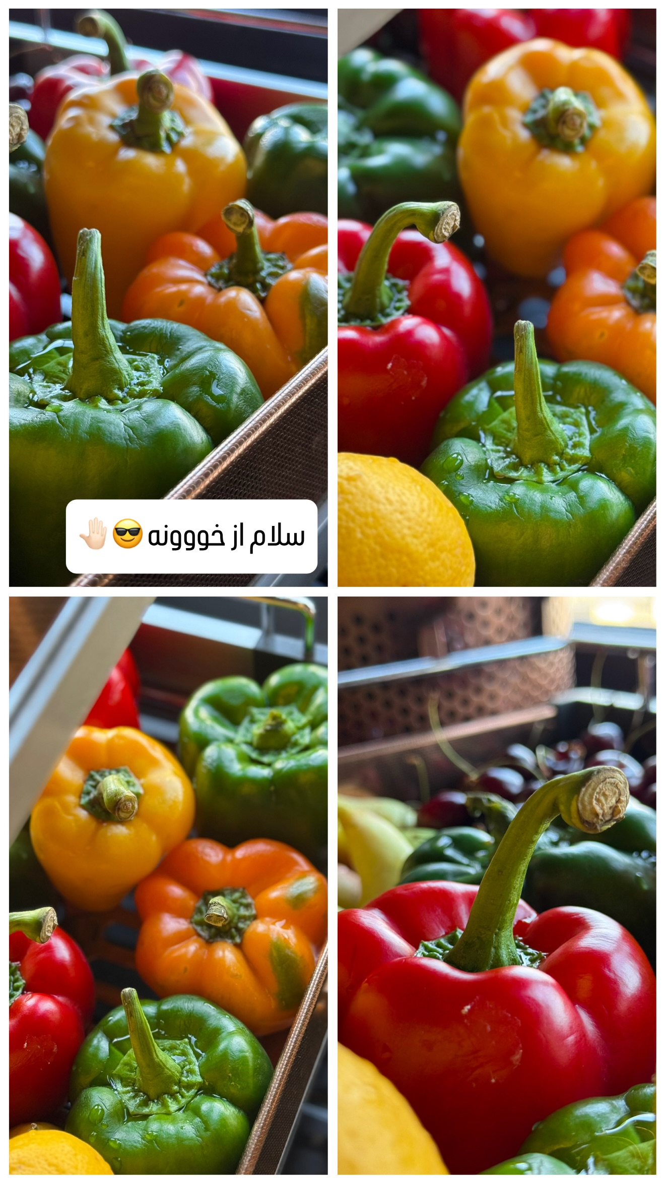  جدید ترین استوری اینستاگرام شیوا نصرتی