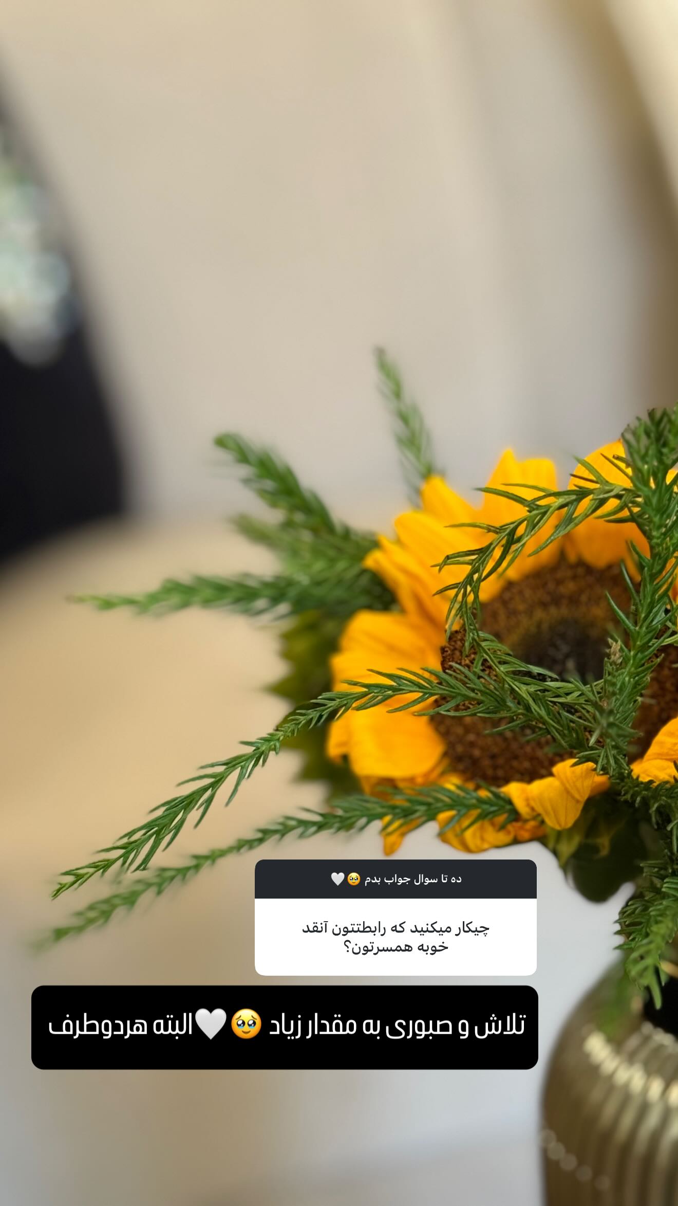  جدید ترین استوری اینستاگرام شیوا نصرتی