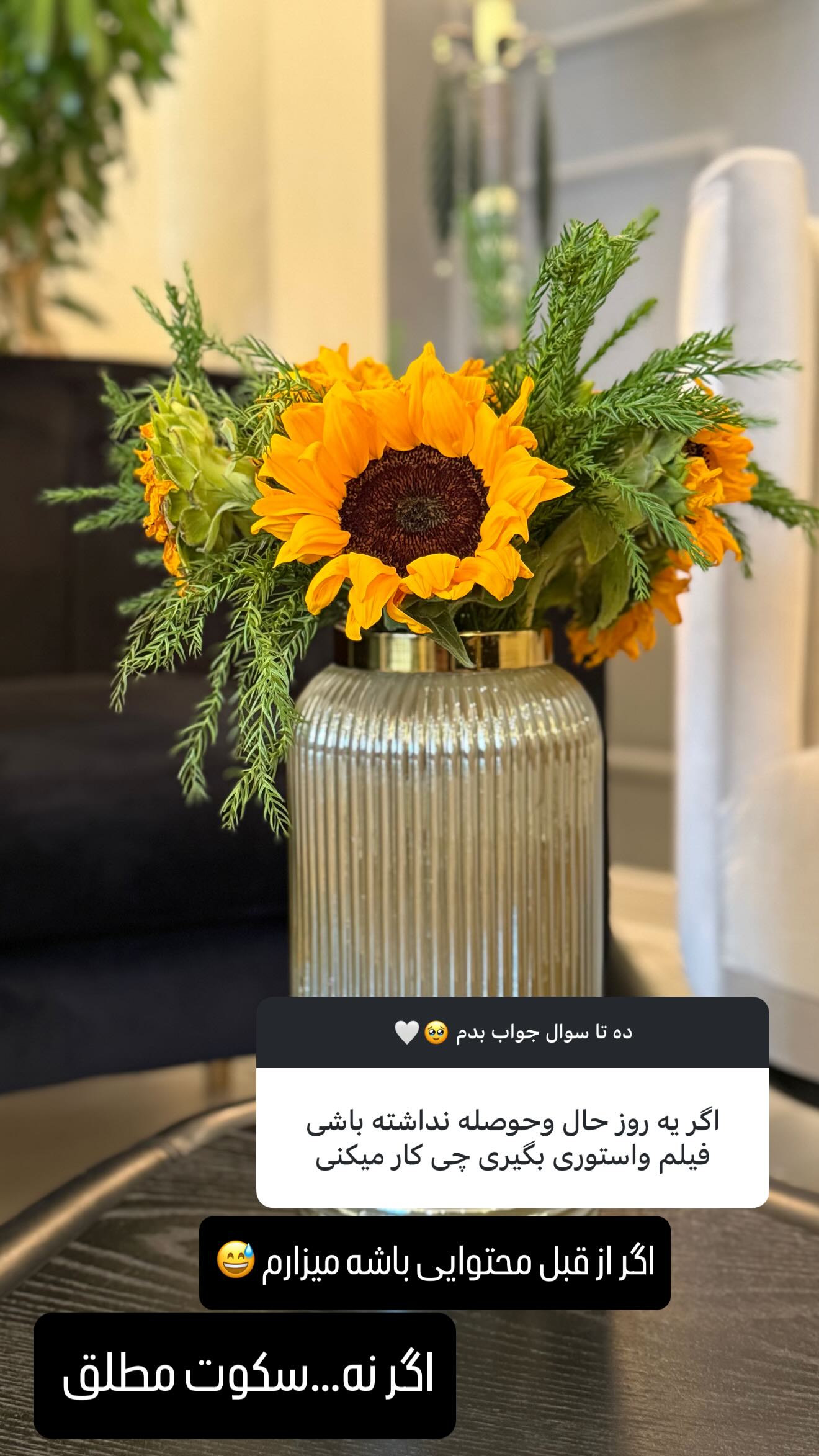  جدید ترین استوری اینستاگرام شیوا نصرتی