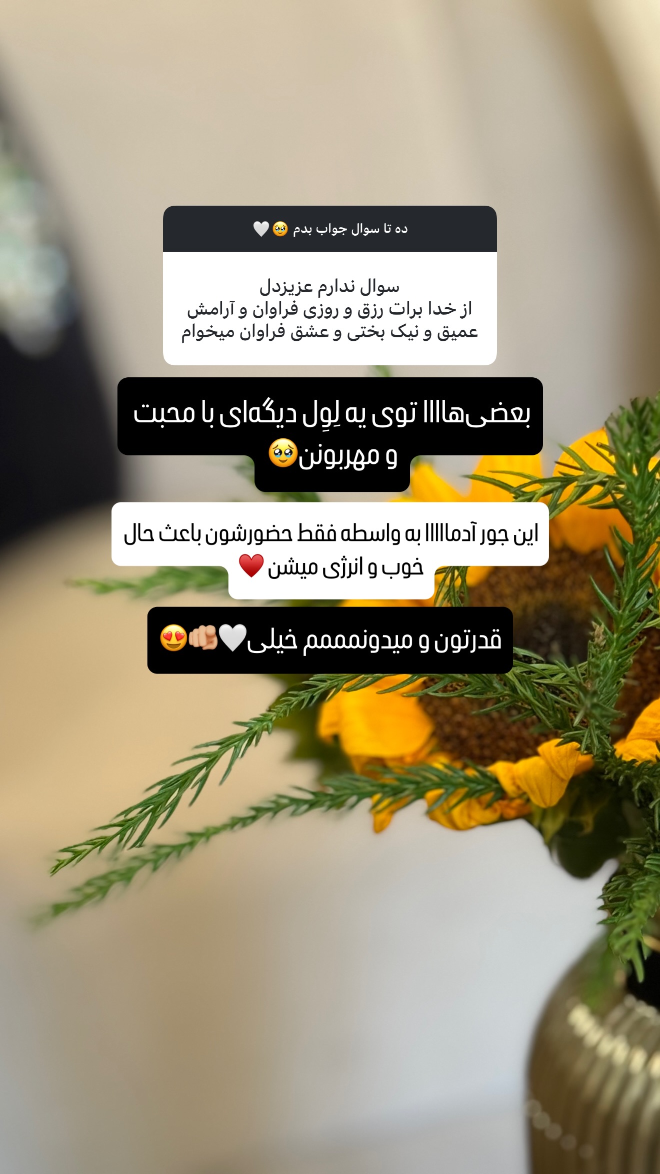  جدید ترین استوری اینستاگرام شیوا نصرتی