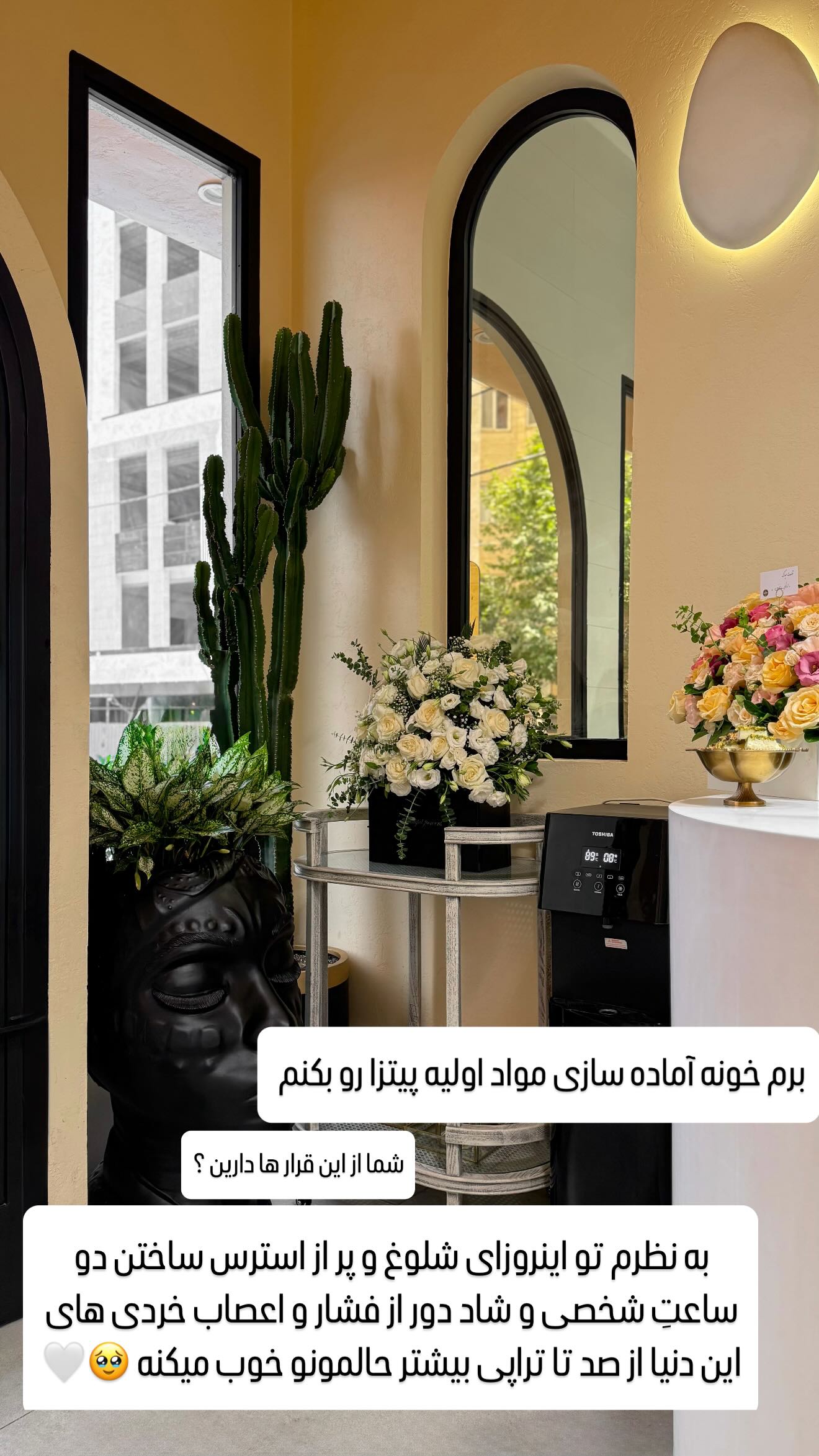  جدید ترین استوری اینستاگرام شیوا نصرتی