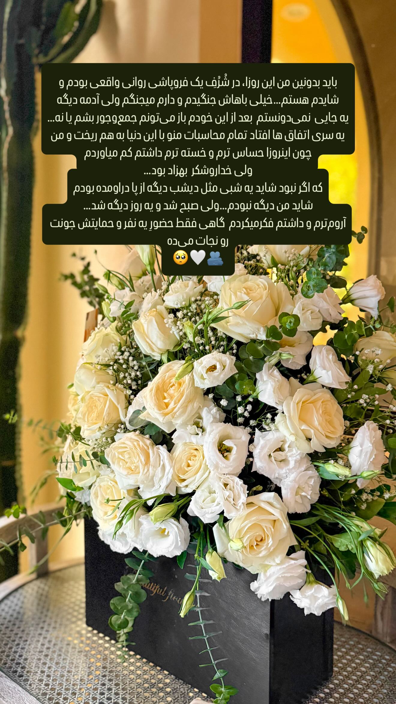  جدید ترین استوری اینستاگرام شیوا نصرتی