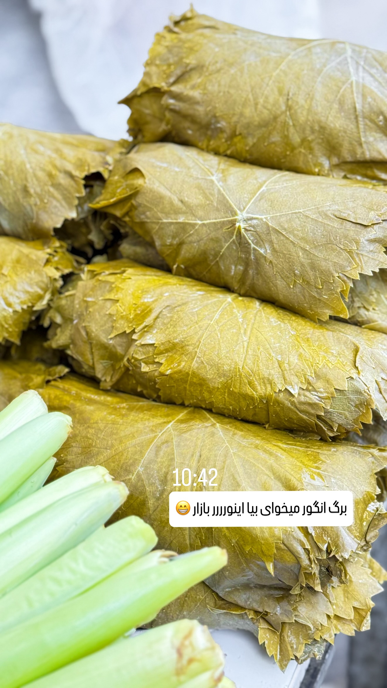  جدید ترین استوری اینستاگرام شیوا نصرتی