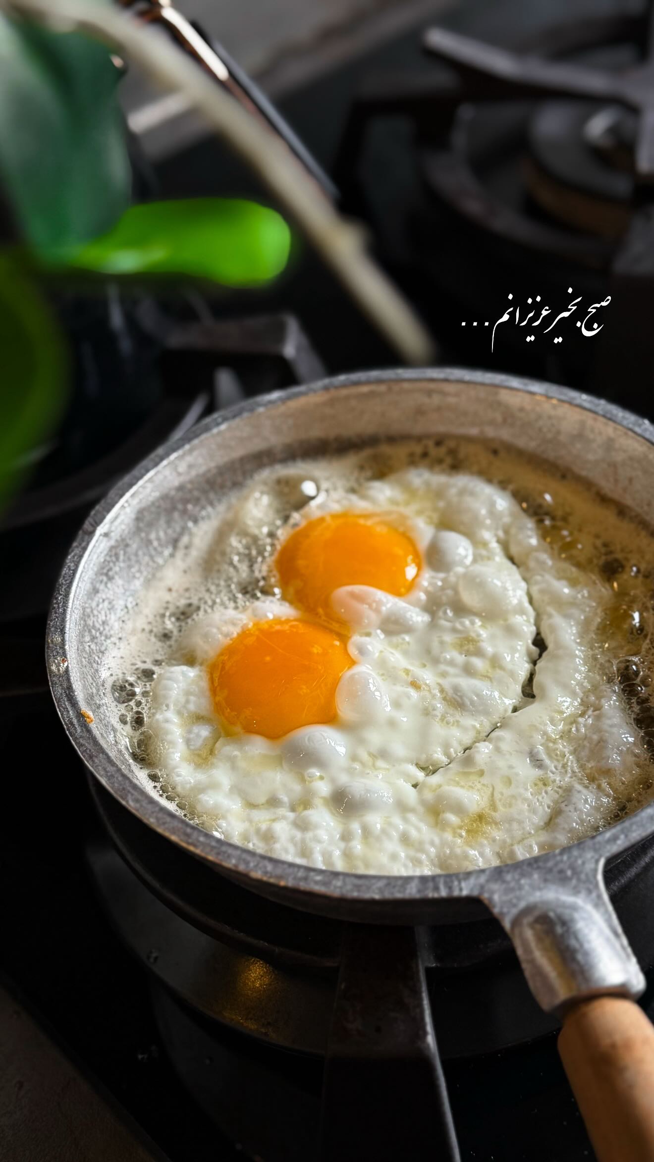  جدید ترین استوری اینستاگرام شیوا نصرتی