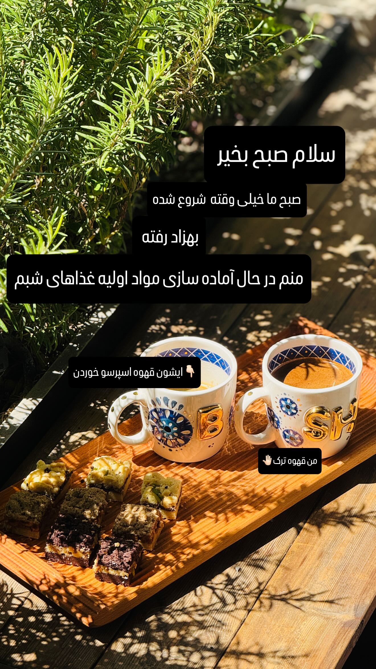  جدید ترین استوری اینستاگرام شیوا نصرتی
