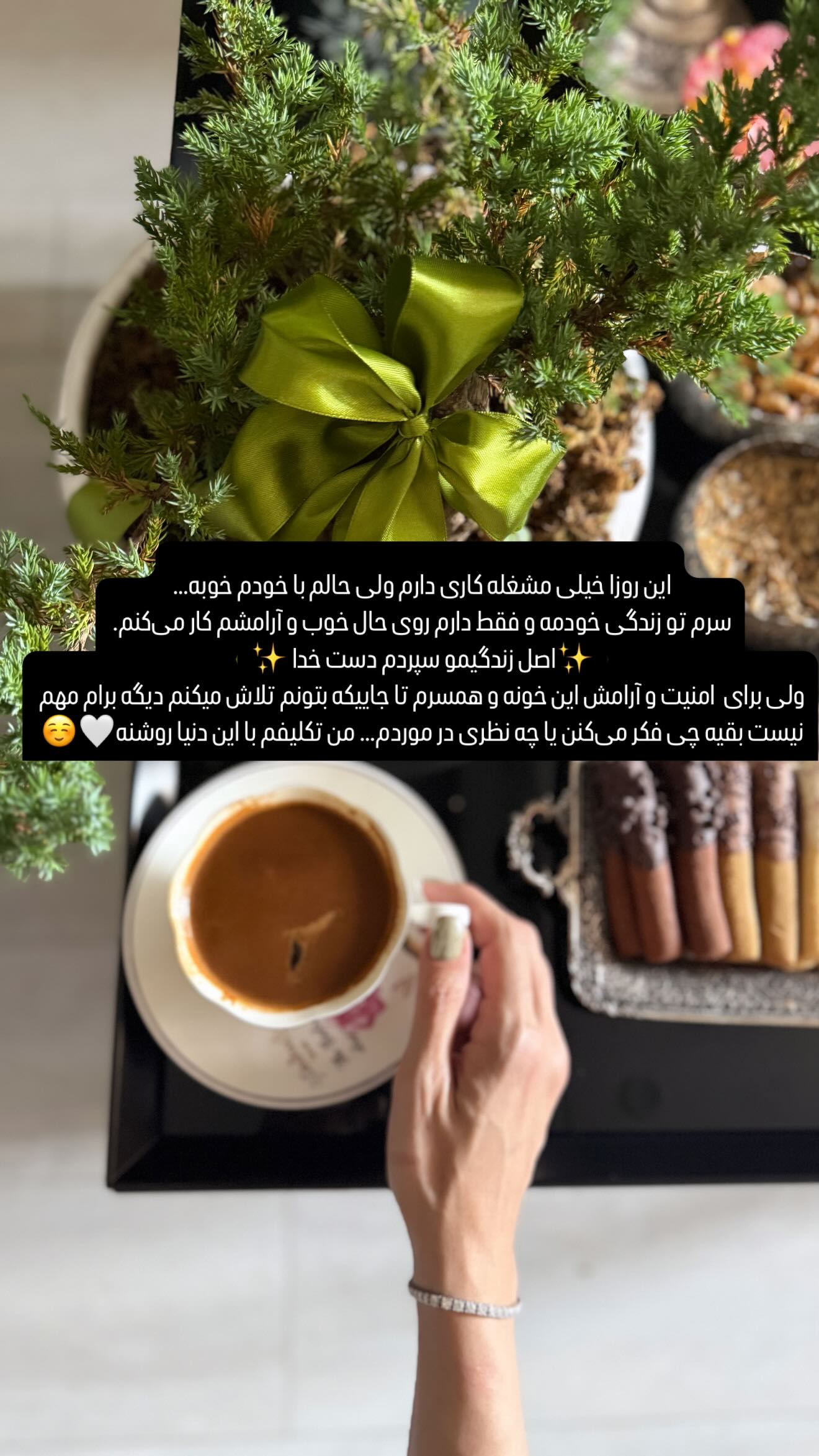  جدید ترین استوری اینستاگرام شیوا نصرتی