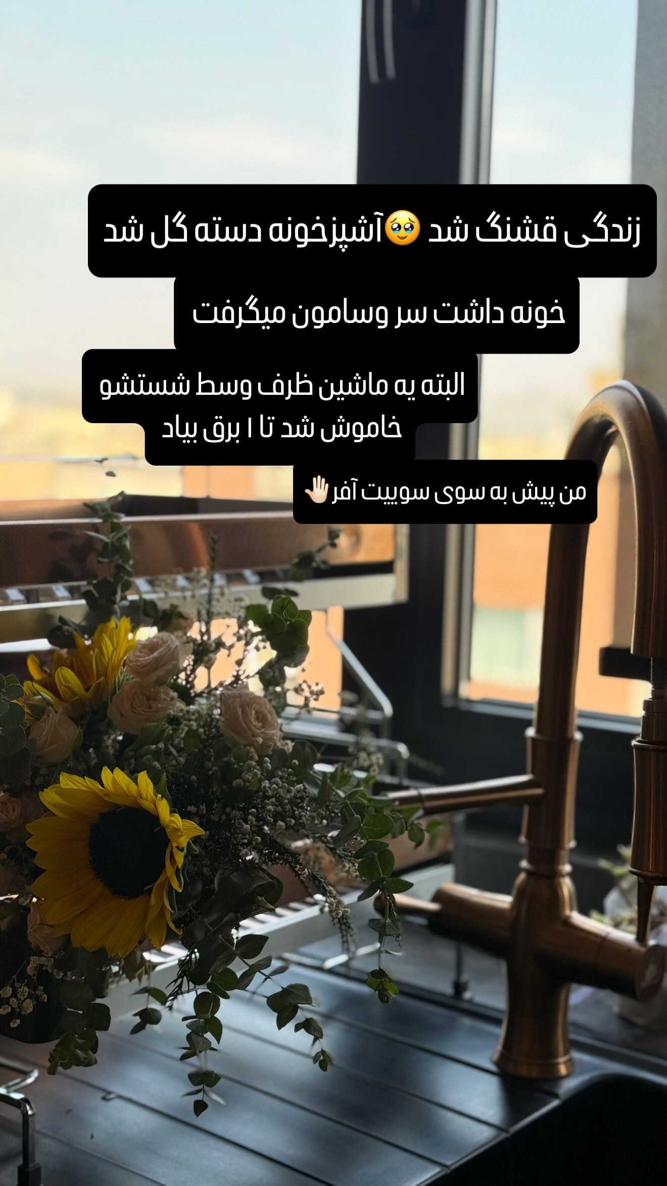  جدید ترین استوری اینستاگرام شیوا نصرتی