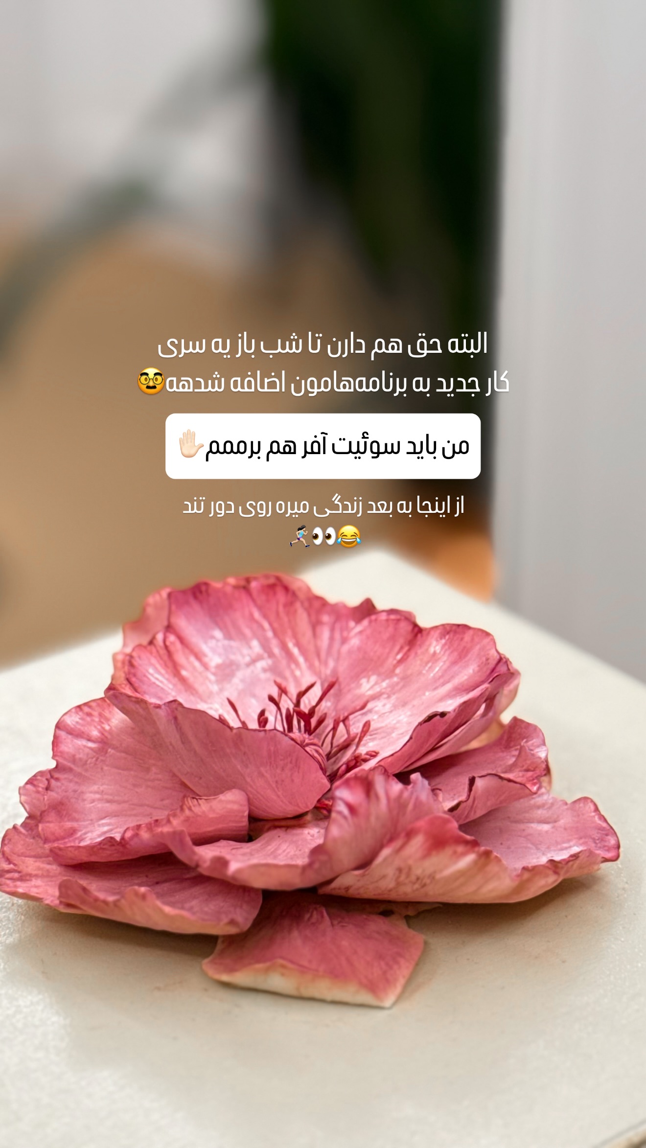  جدید ترین استوری اینستاگرام شیوا نصرتی