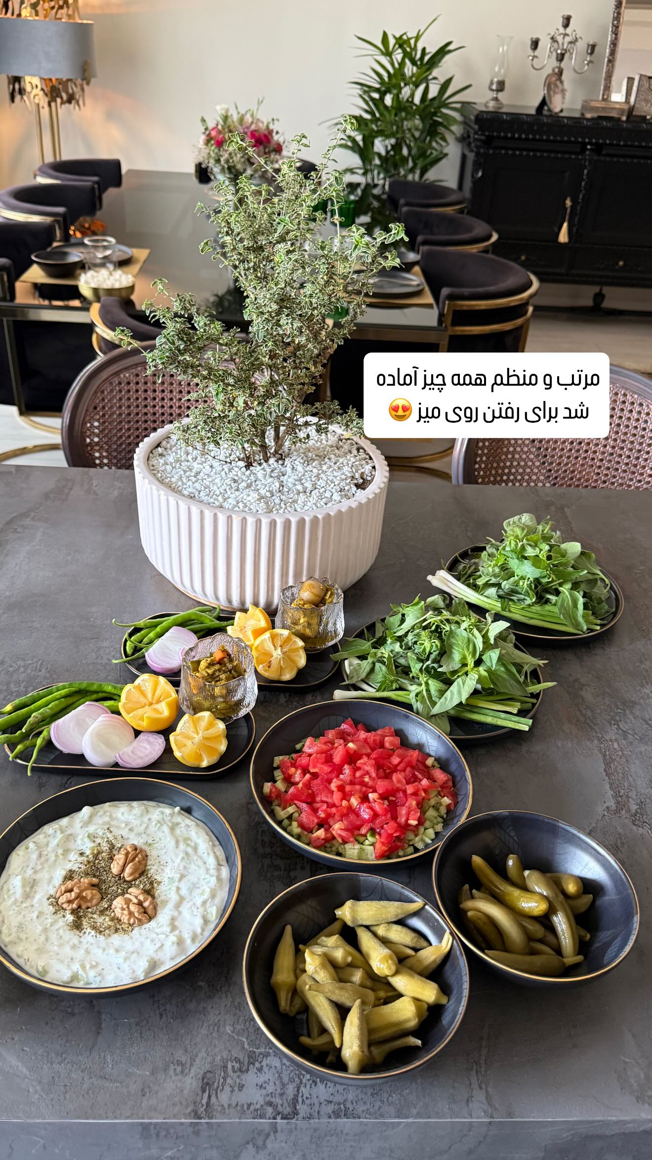 جدید ترین استوری اینستاگرام شیوا نصرتی