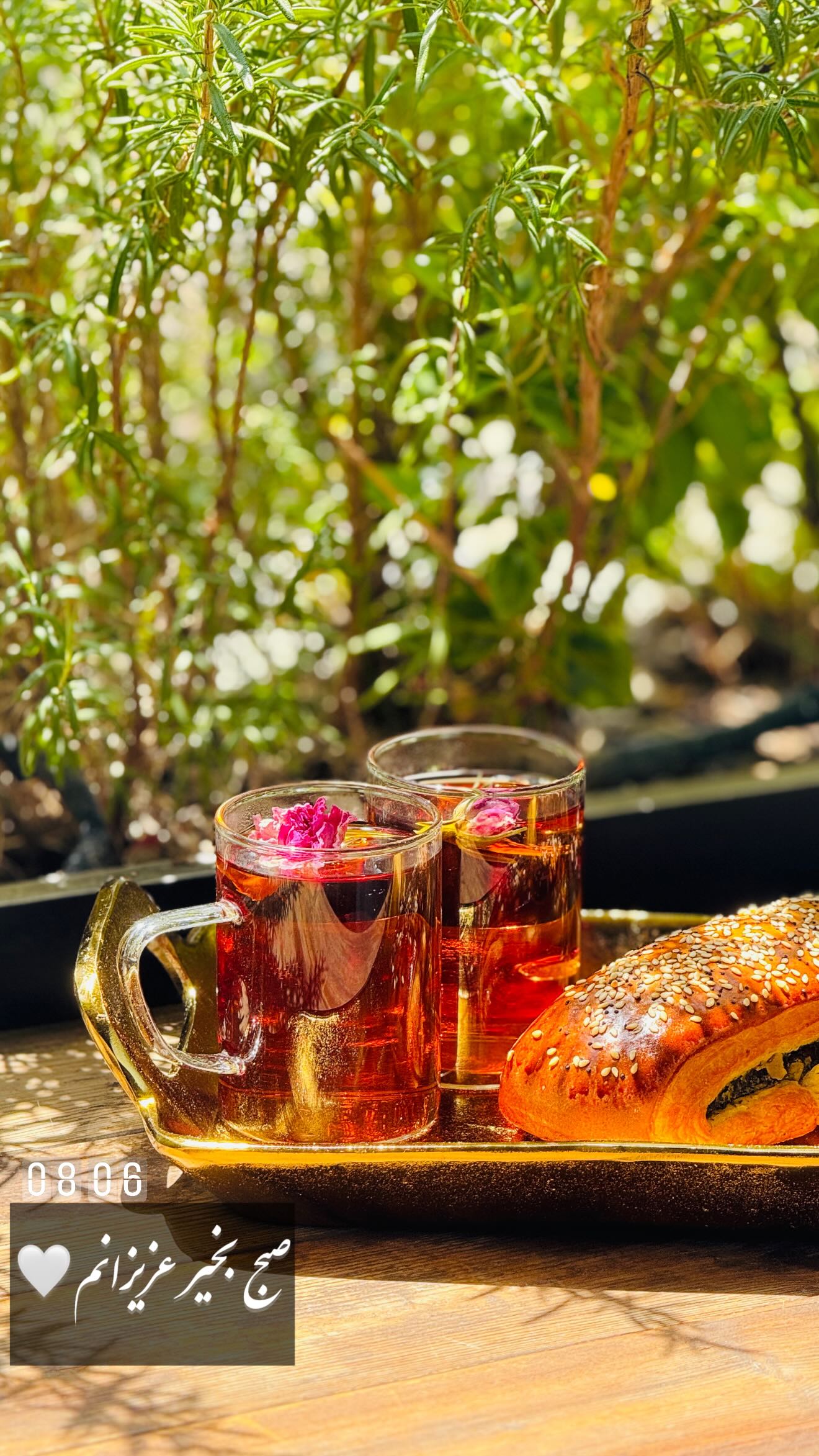  جدید ترین استوری اینستاگرام شیوا نصرتی