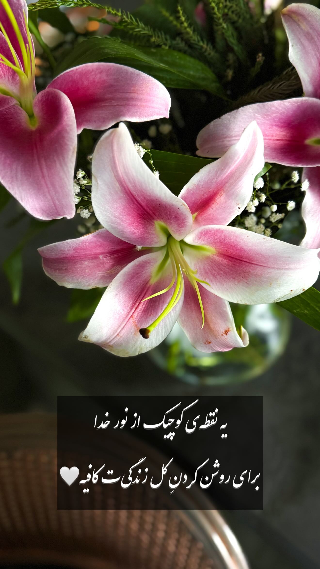  جدید ترین استوری اینستاگرام شیوا نصرتی