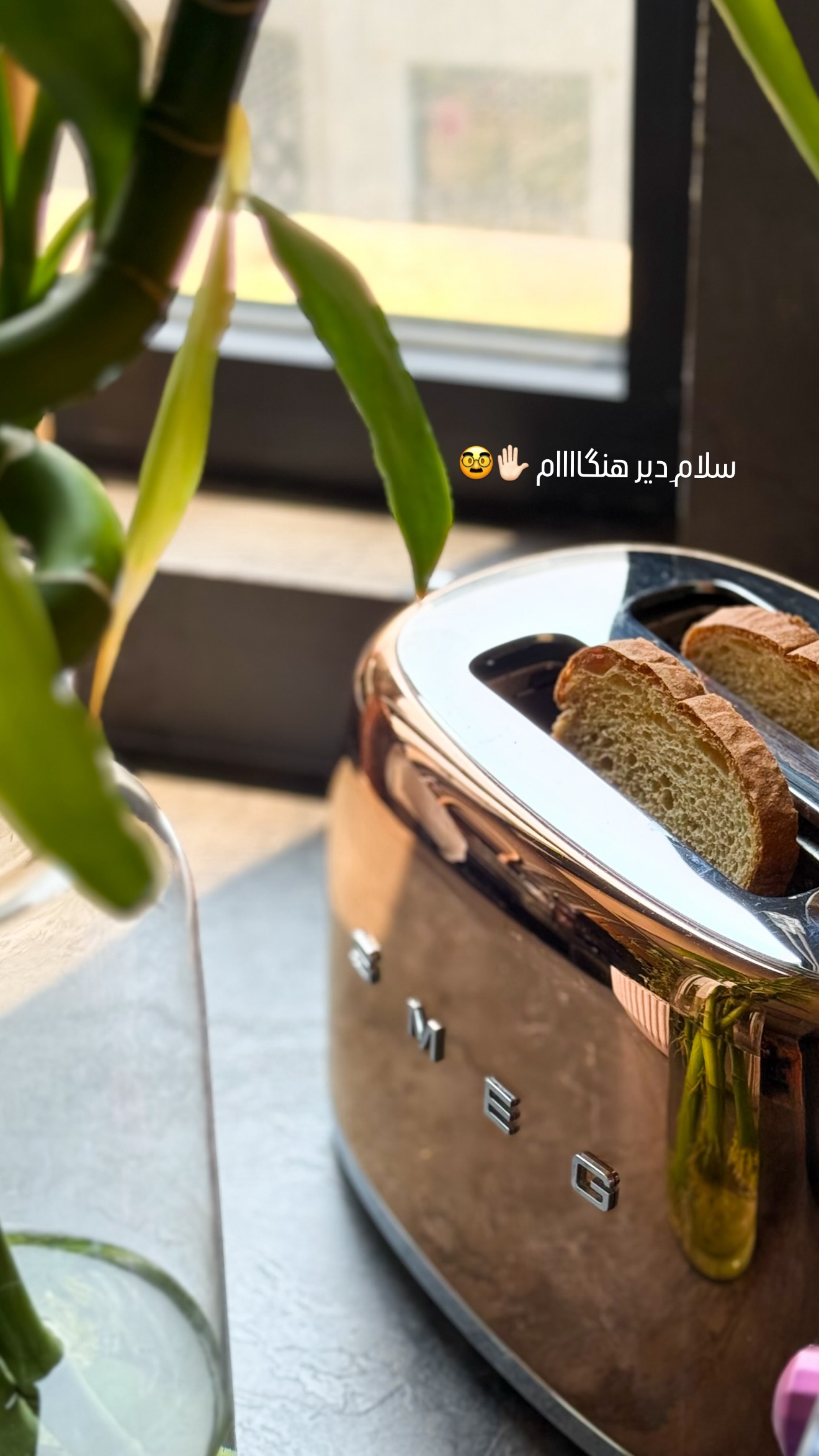  جدید ترین استوری اینستاگرام شیوا نصرتی