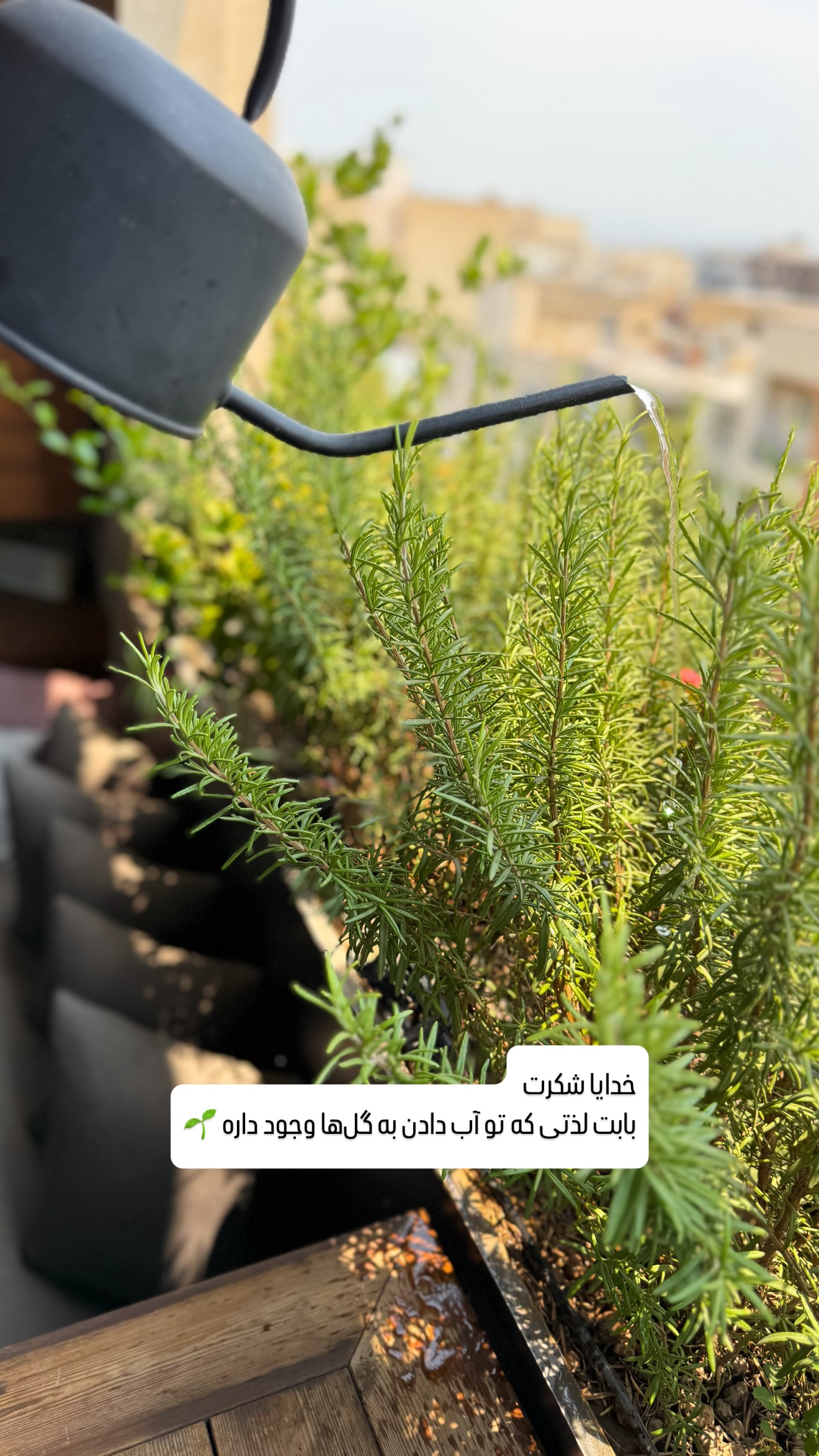  جدید ترین استوری اینستاگرام شیوا نصرتی