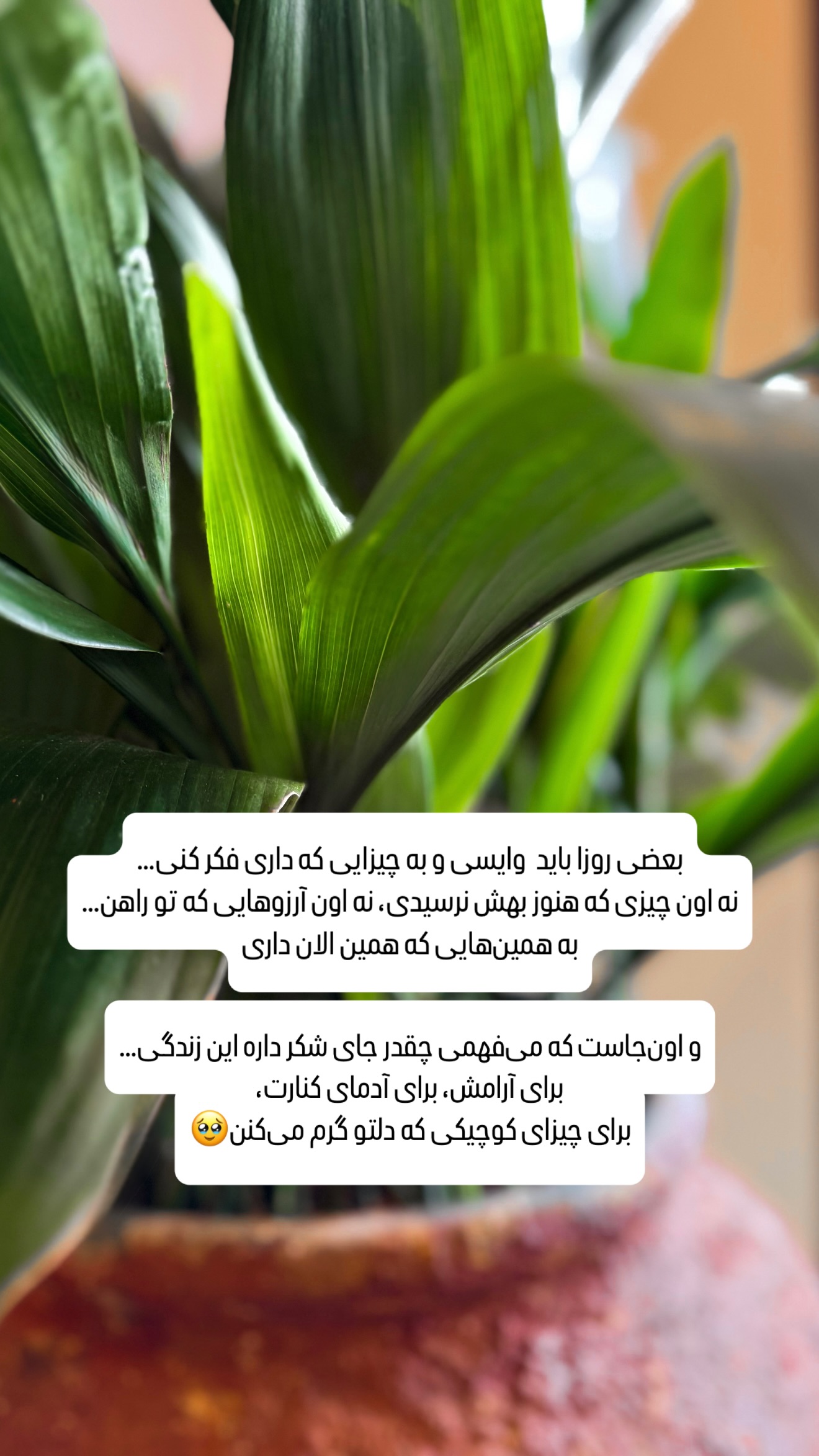  جدید ترین استوری اینستاگرام شیوا نصرتی