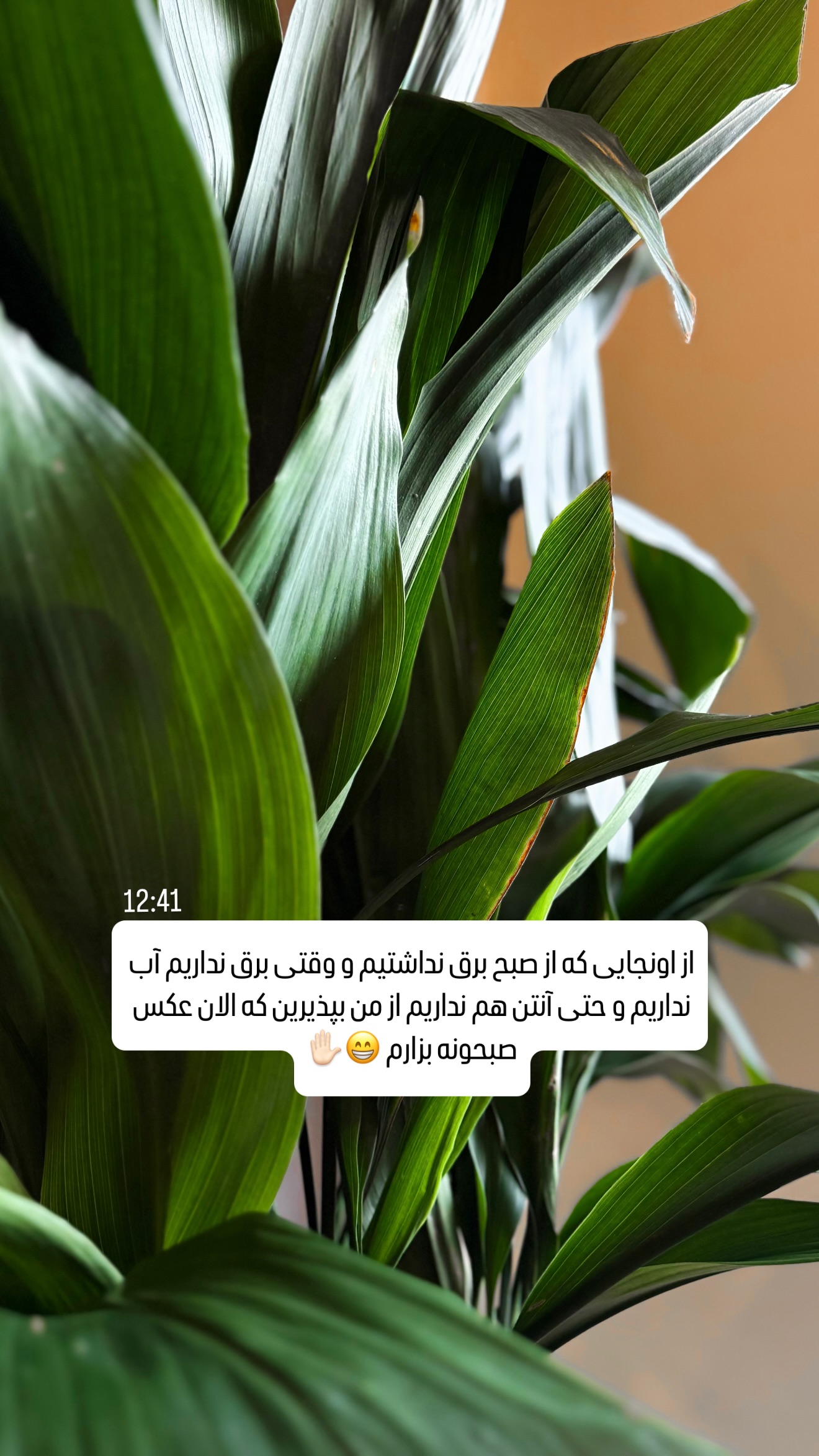  جدید ترین استوری اینستاگرام شیوا نصرتی