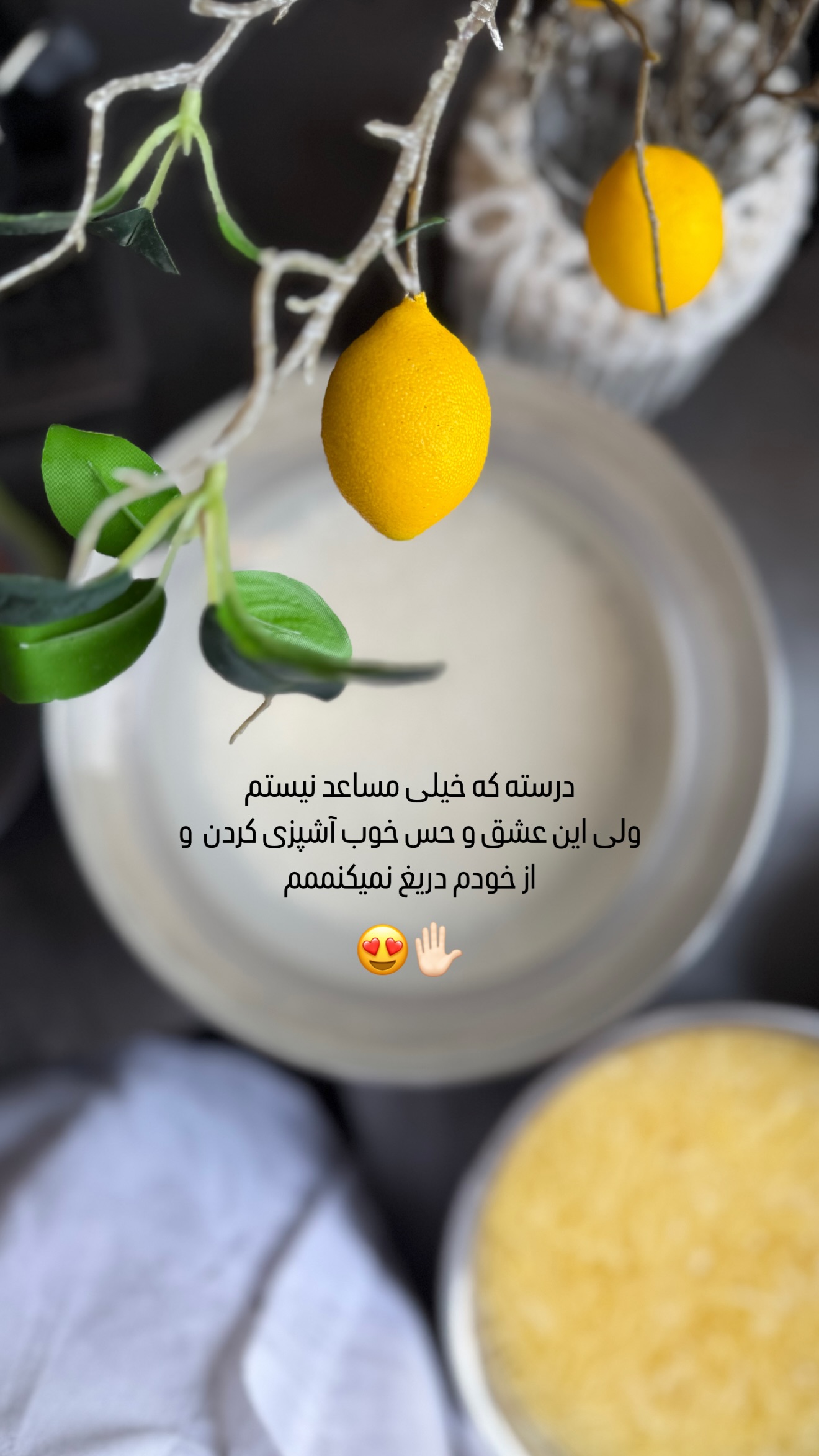  جدید ترین استوری اینستاگرام شیوا نصرتی