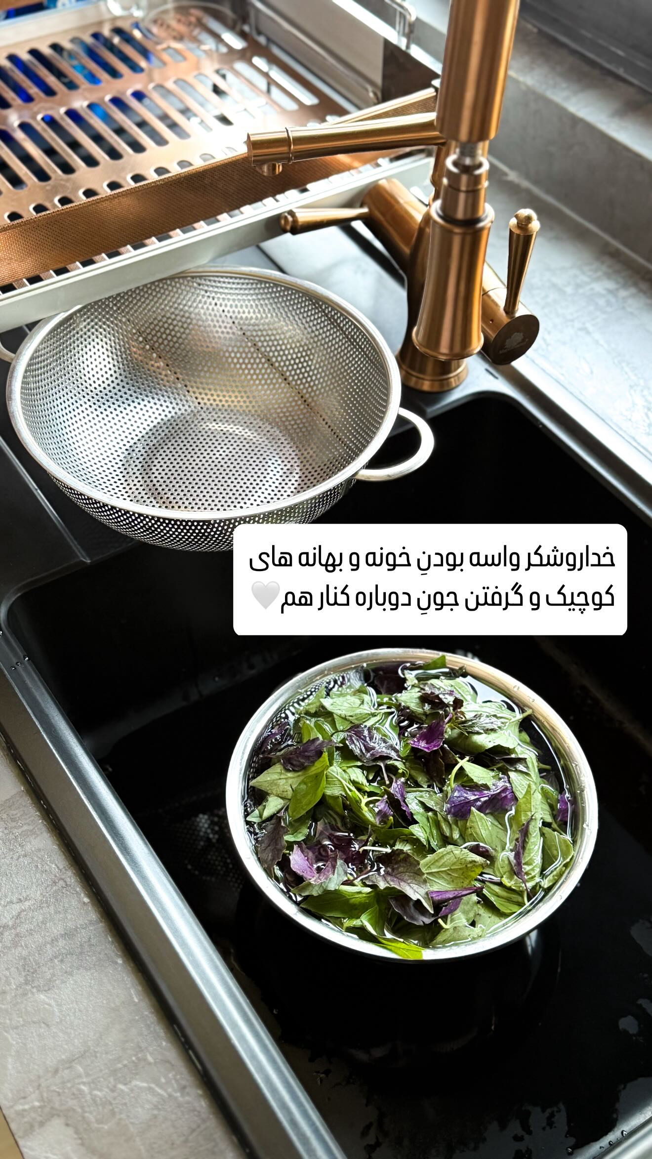  جدید ترین استوری اینستاگرام شیوا نصرتی