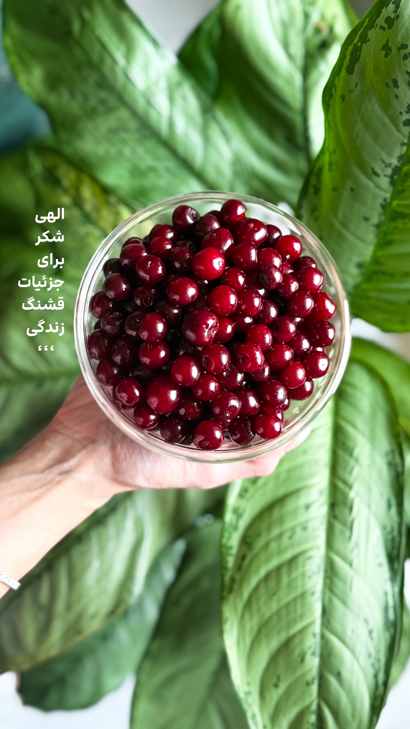  جدید ترین استوری اینستاگرام شیوا نصرتی