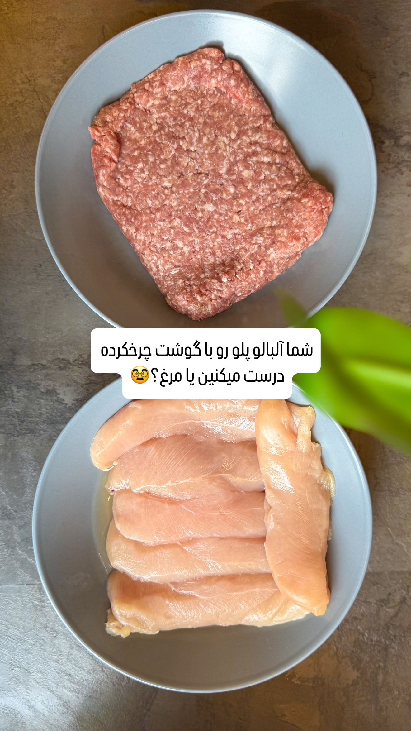 جدید ترین استوری اینستاگرام شیوا نصرتی