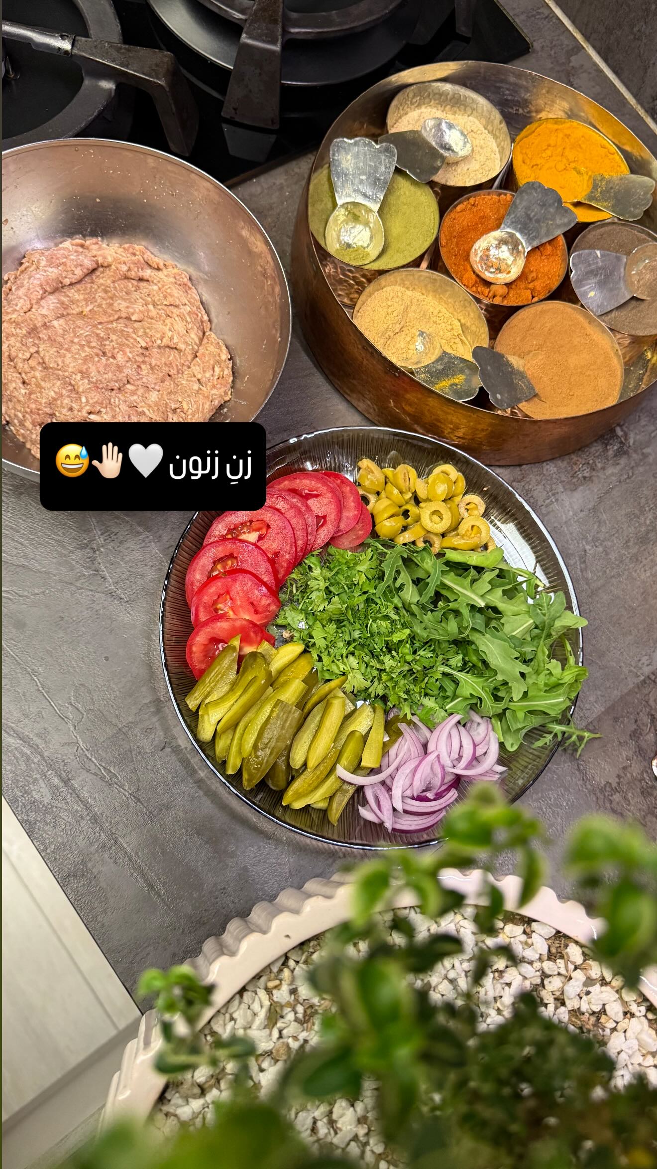  جدید ترین استوری اینستاگرام شیوا نصرتی