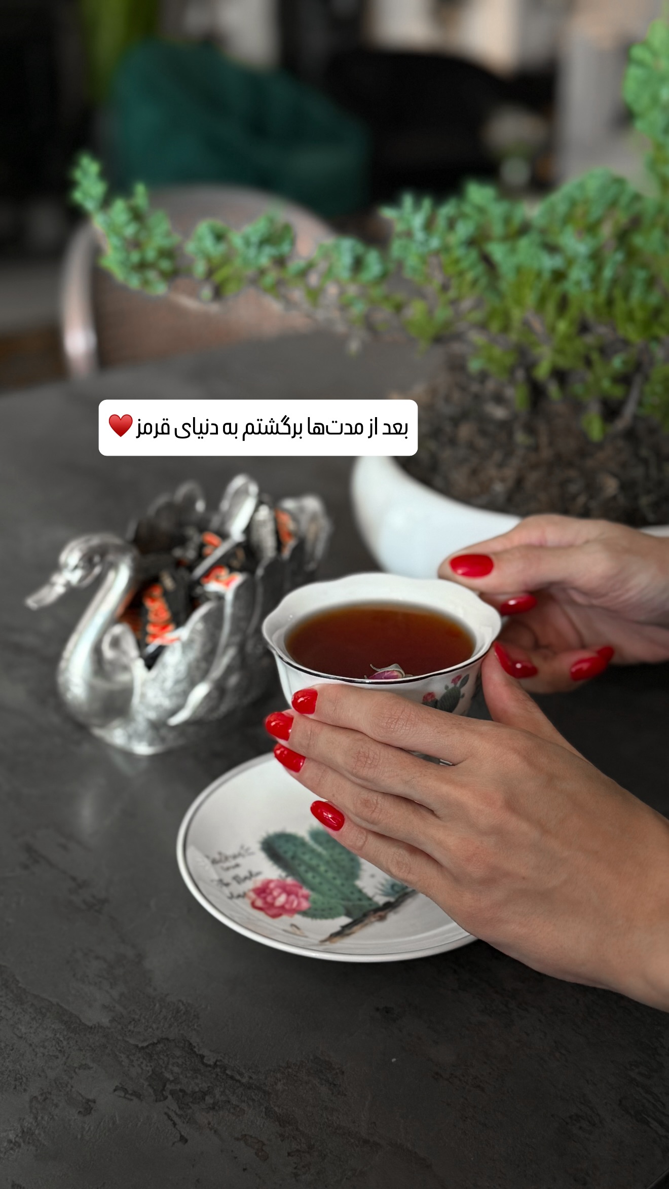  جدید ترین استوری اینستاگرام شیوا نصرتی