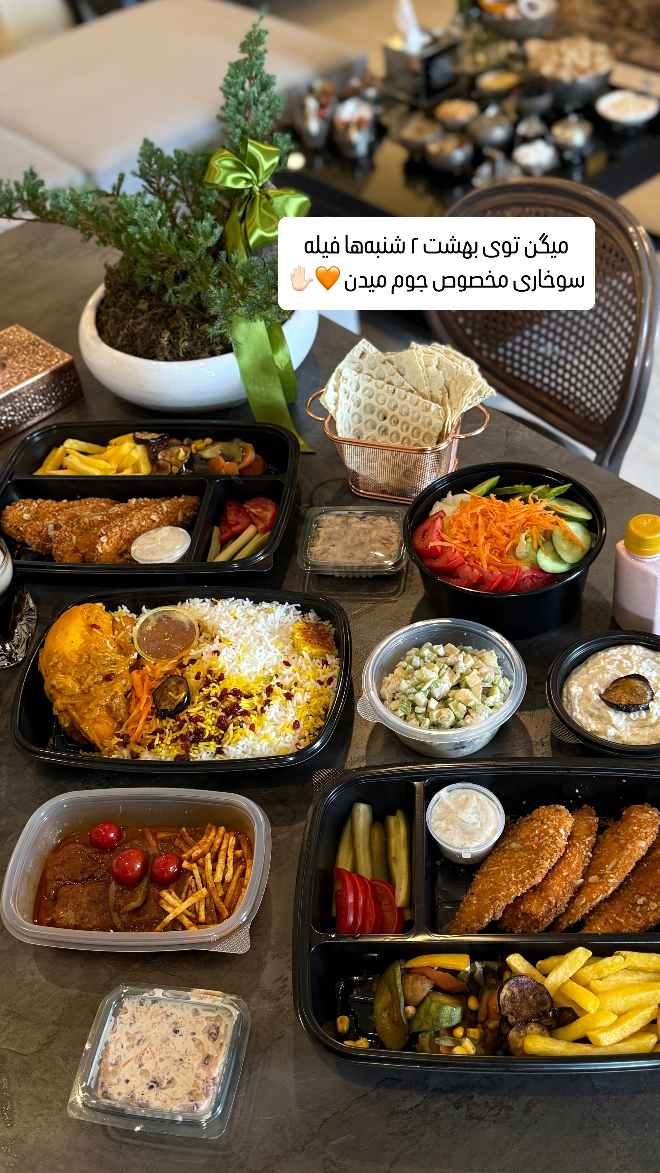  جدید ترین استوری اینستاگرام شیوا نصرتی