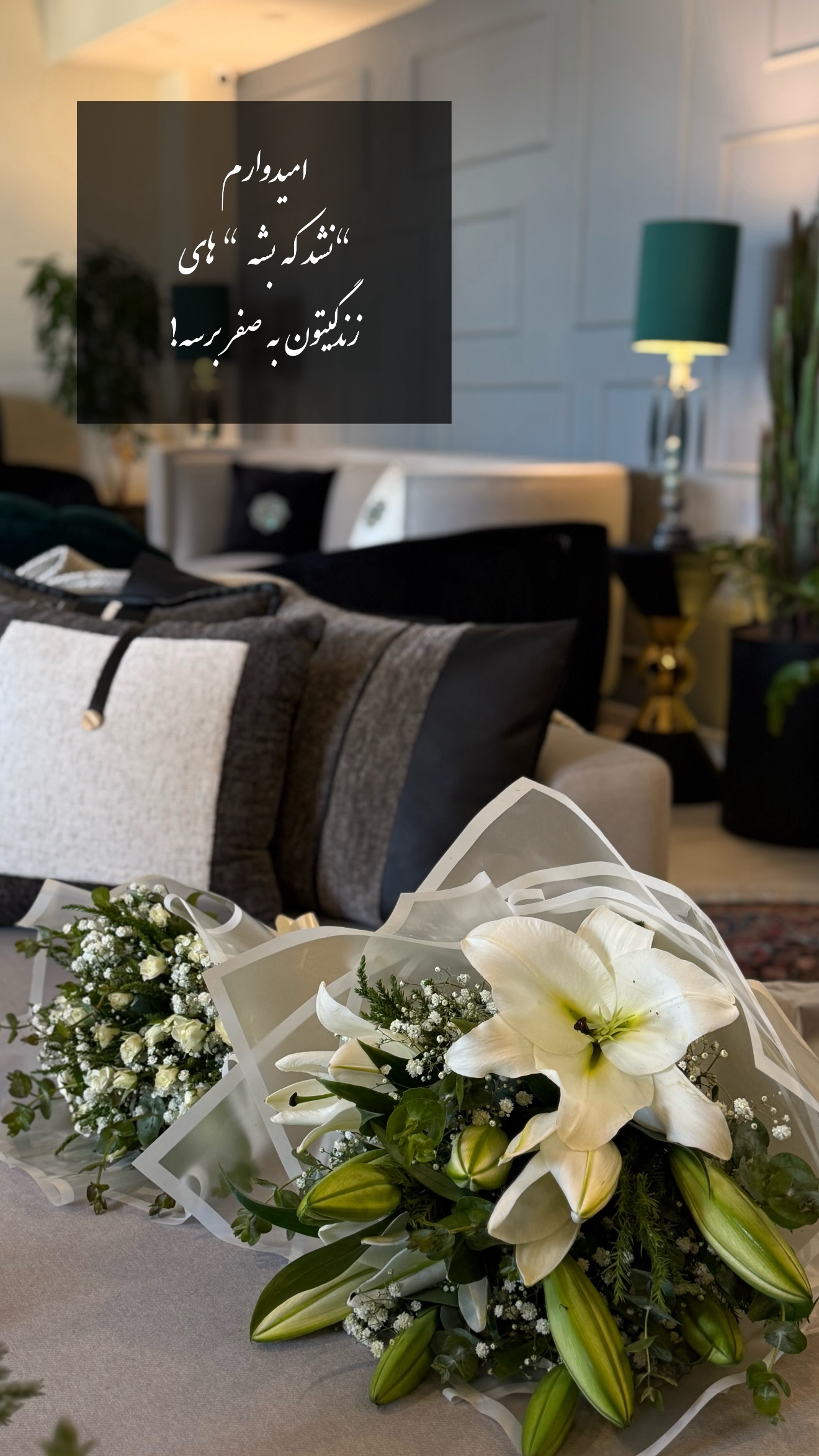  جدید ترین استوری اینستاگرام شیوا نصرتی