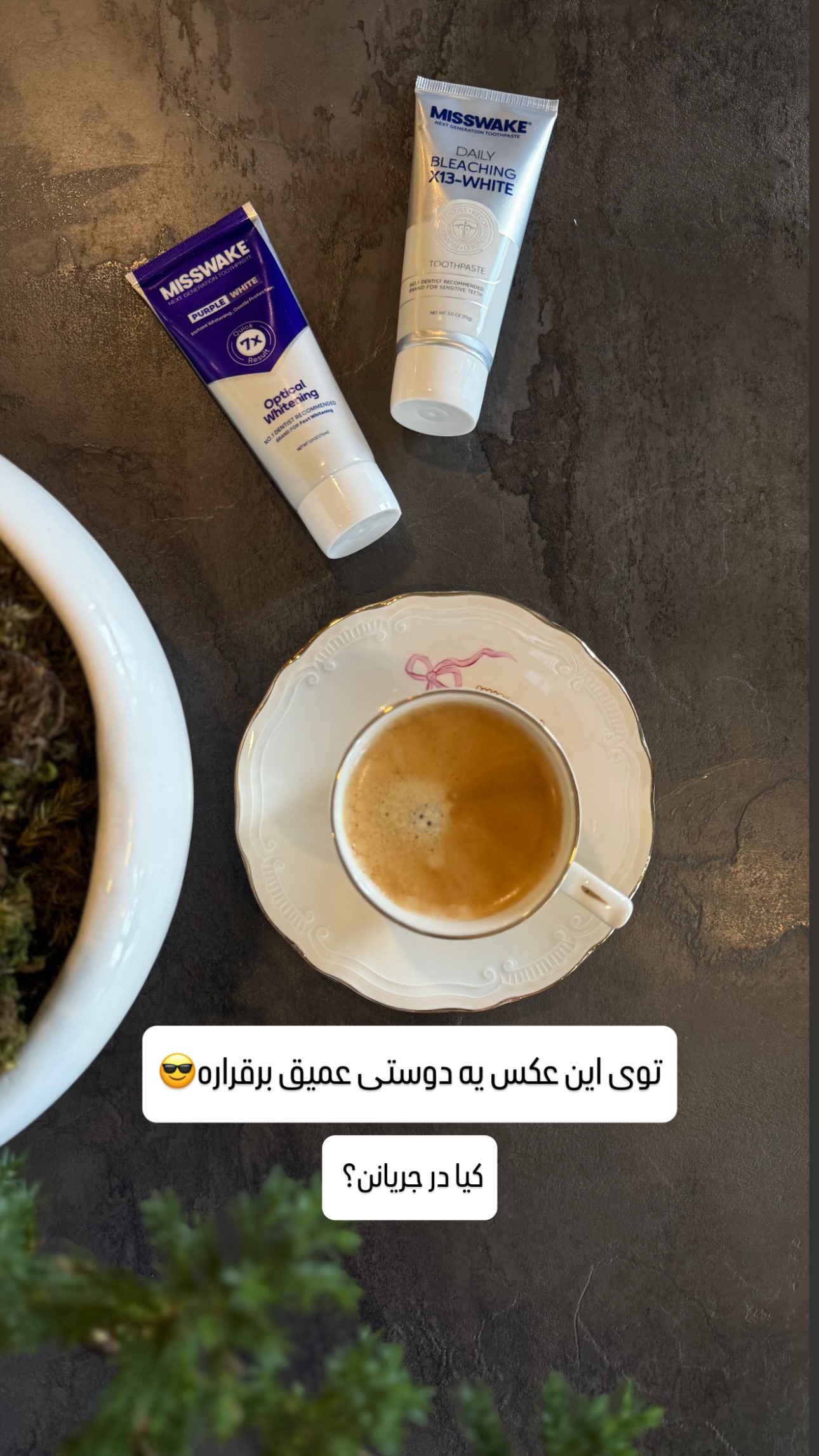  جدید ترین استوری اینستاگرام شیوا نصرتی