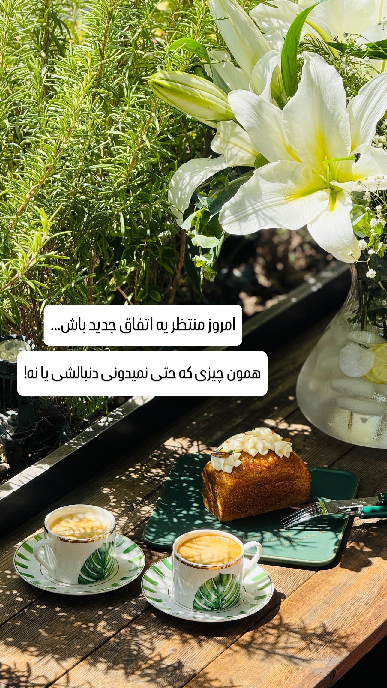  جدید ترین استوری اینستاگرام شیوا نصرتی