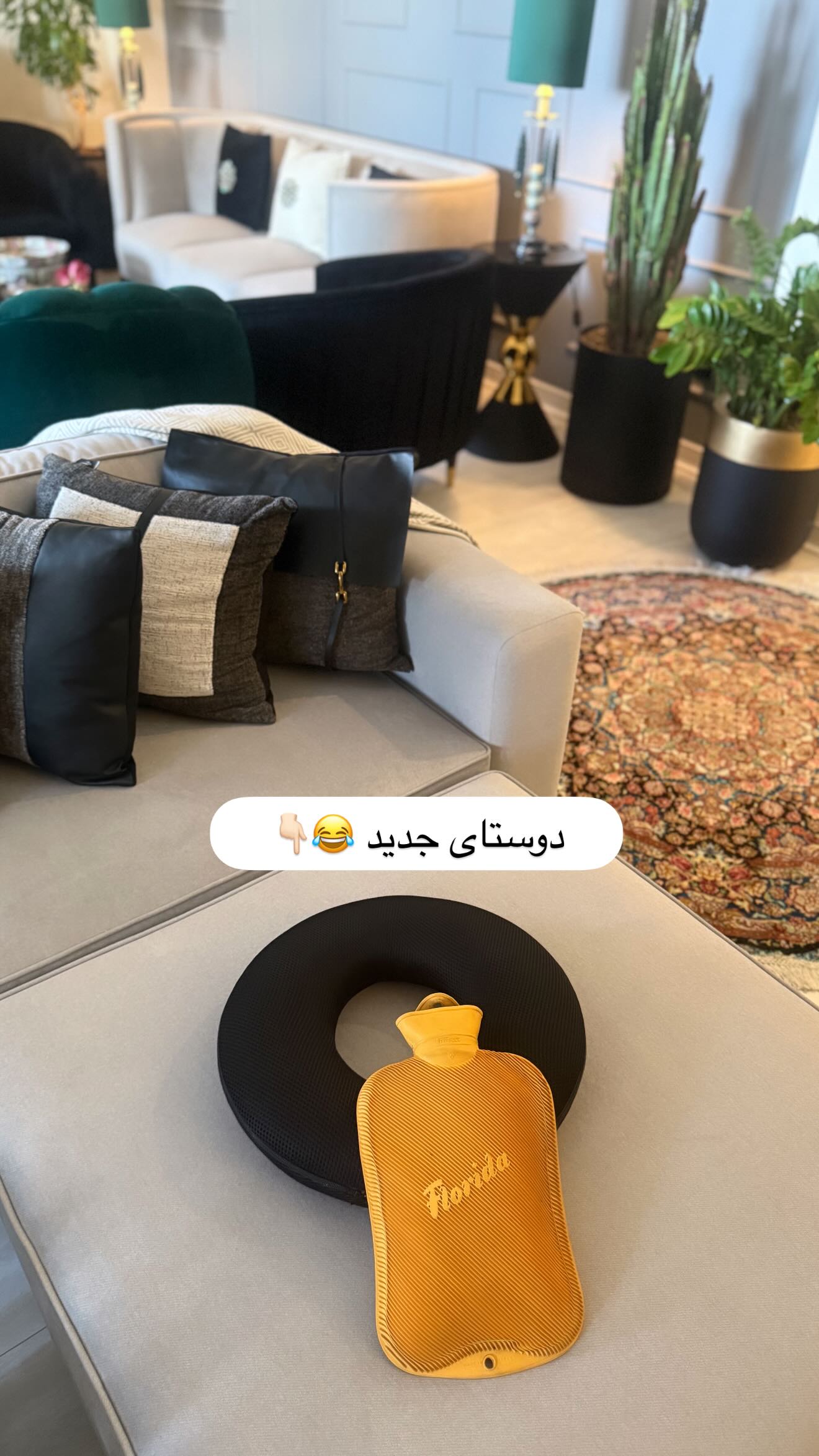  جدید ترین استوری اینستاگرام شیوا نصرتی