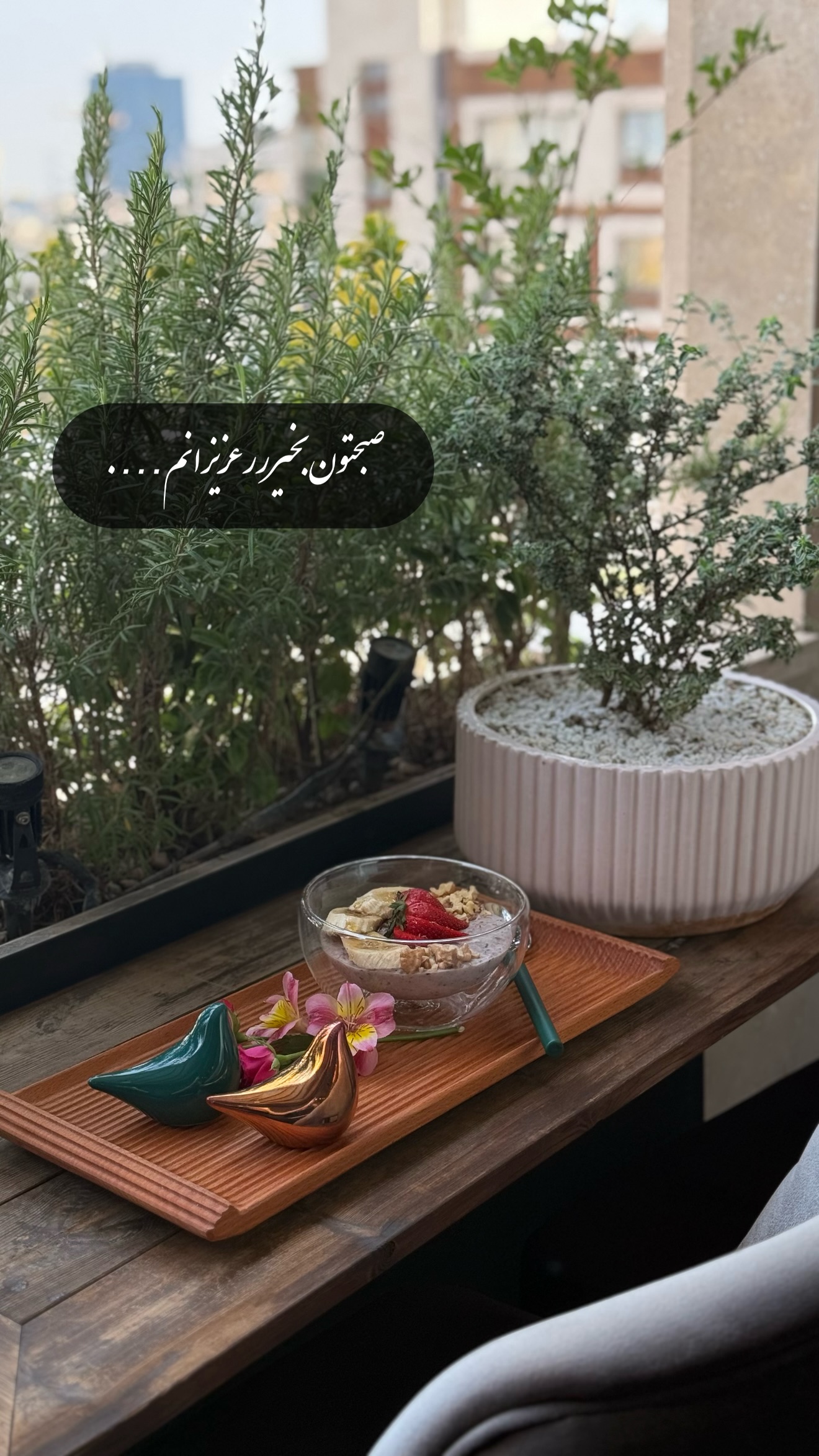  جدید ترین استوری اینستاگرام شیوا نصرتی