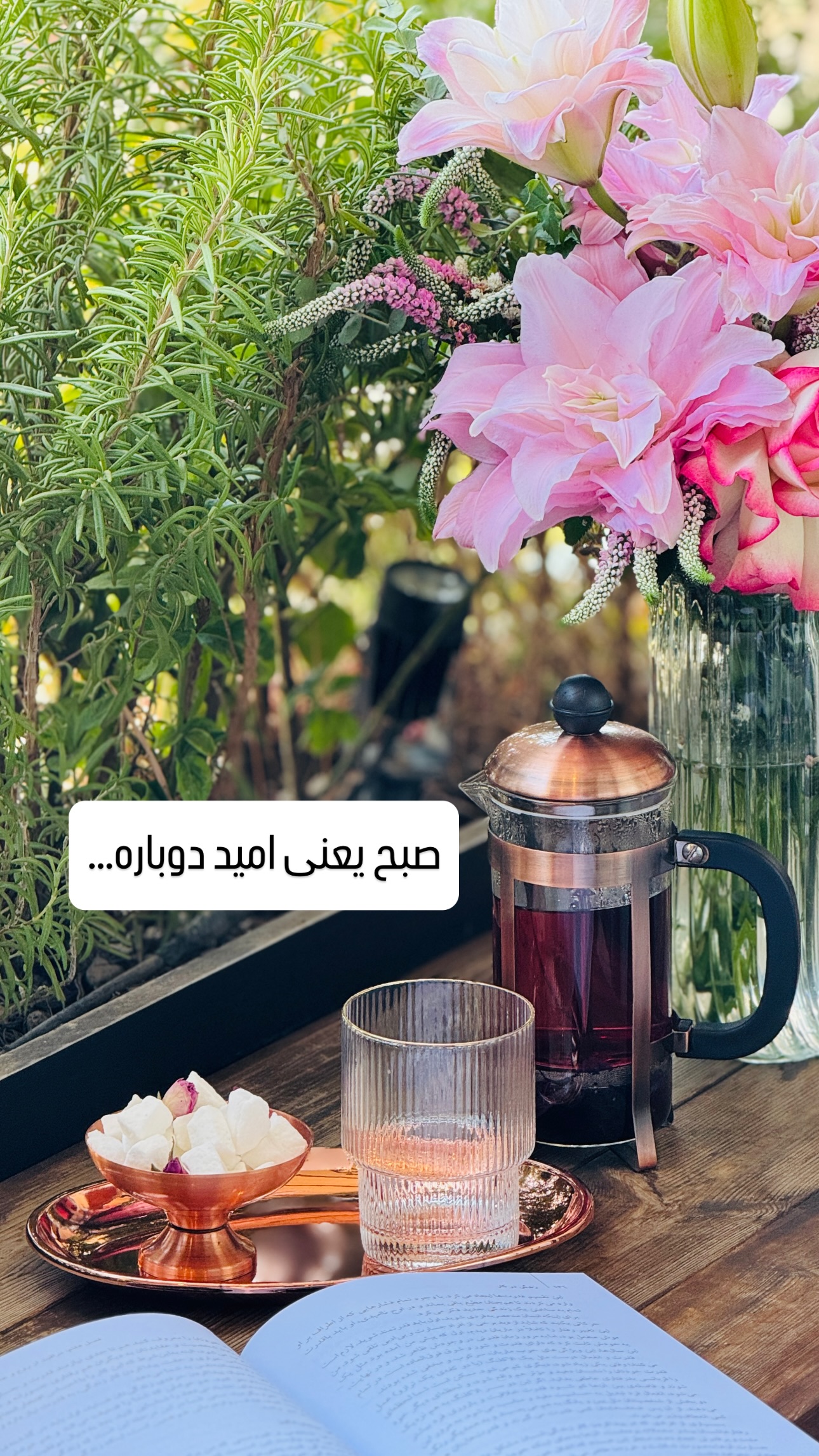  جدید ترین استوری اینستاگرام شیوا نصرتی