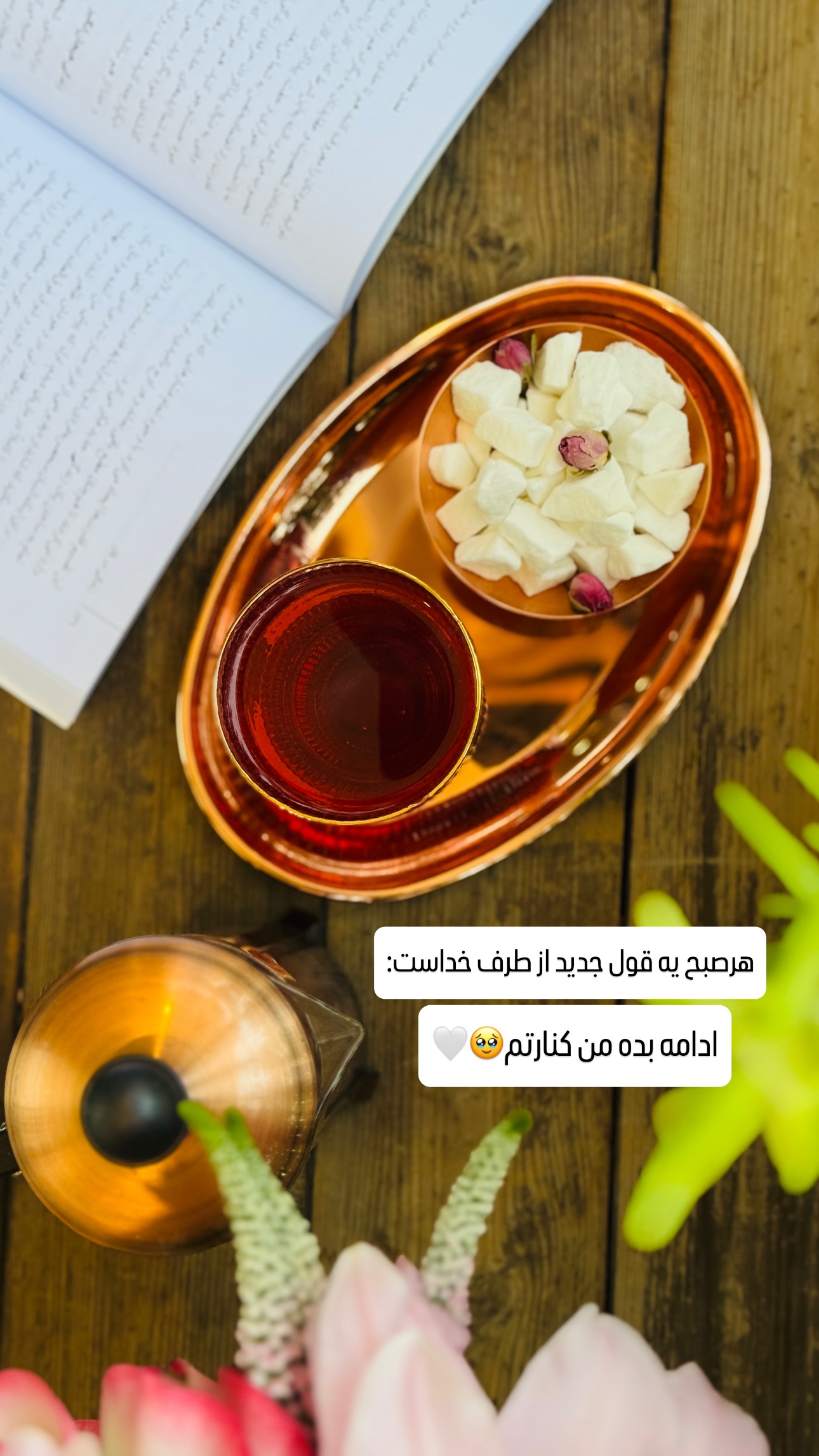  جدید ترین استوری اینستاگرام شیوا نصرتی